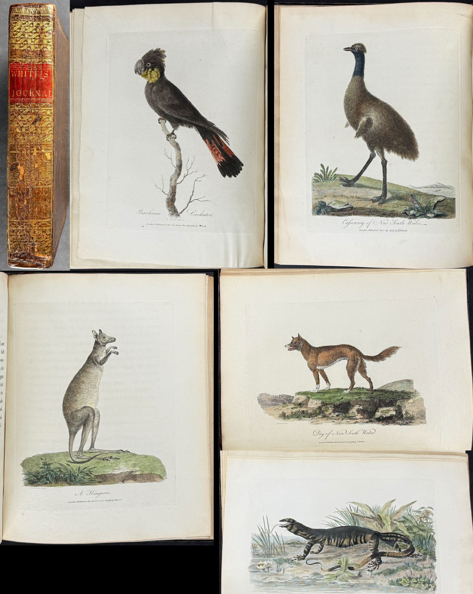 White's Voyage to New South Wales - Volume with 65 Engravings & 1 Map (1 of 20)