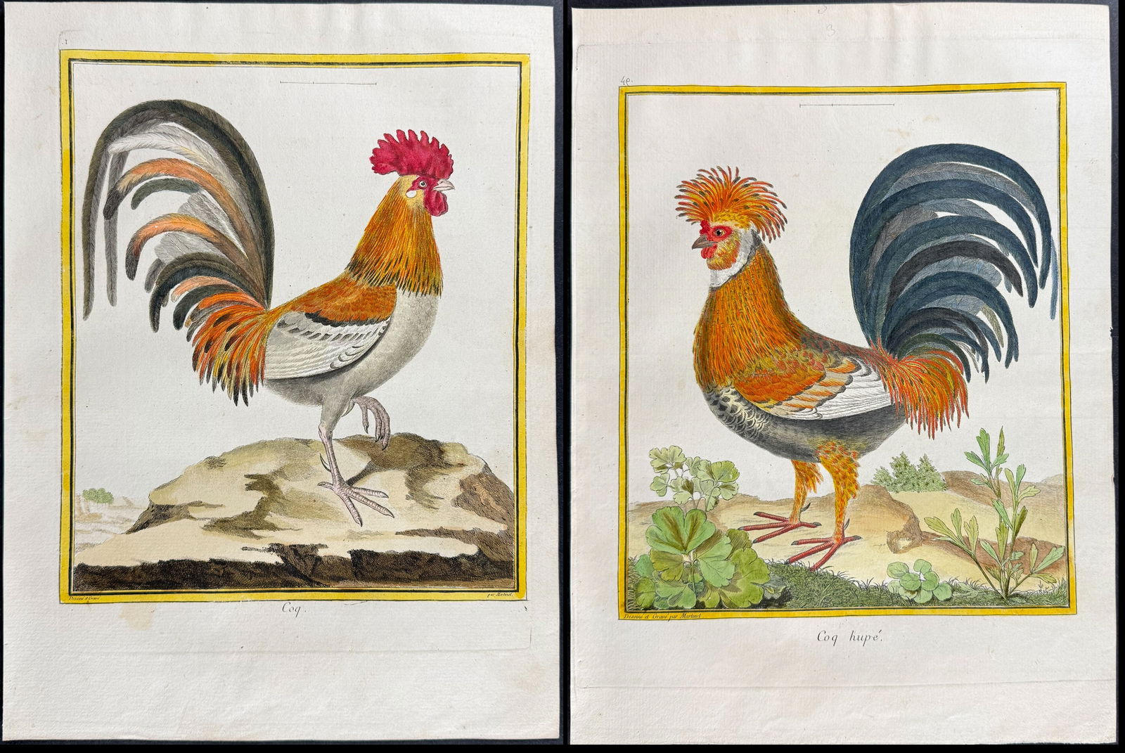 Martinet & Buffon - Pair of Chicken or Rooster Engravings (1 of 3)