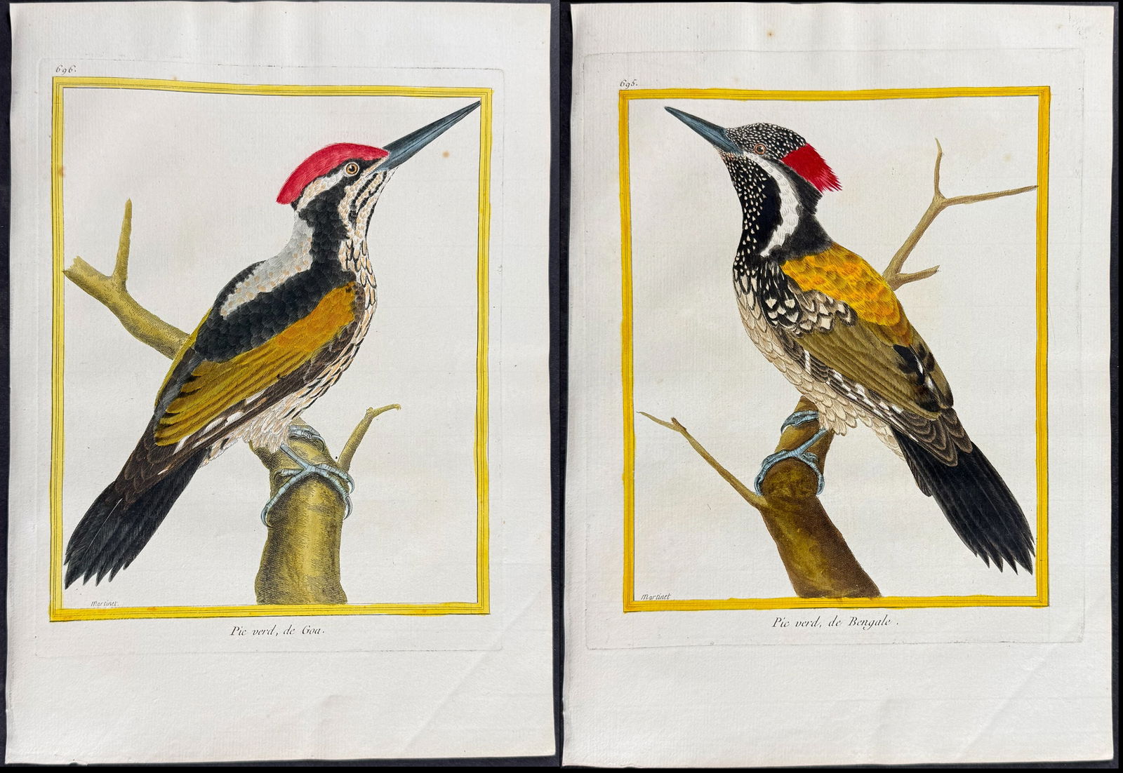 Martinet & Buffon - Pair of Woodpecker Engravings (1 of 3)