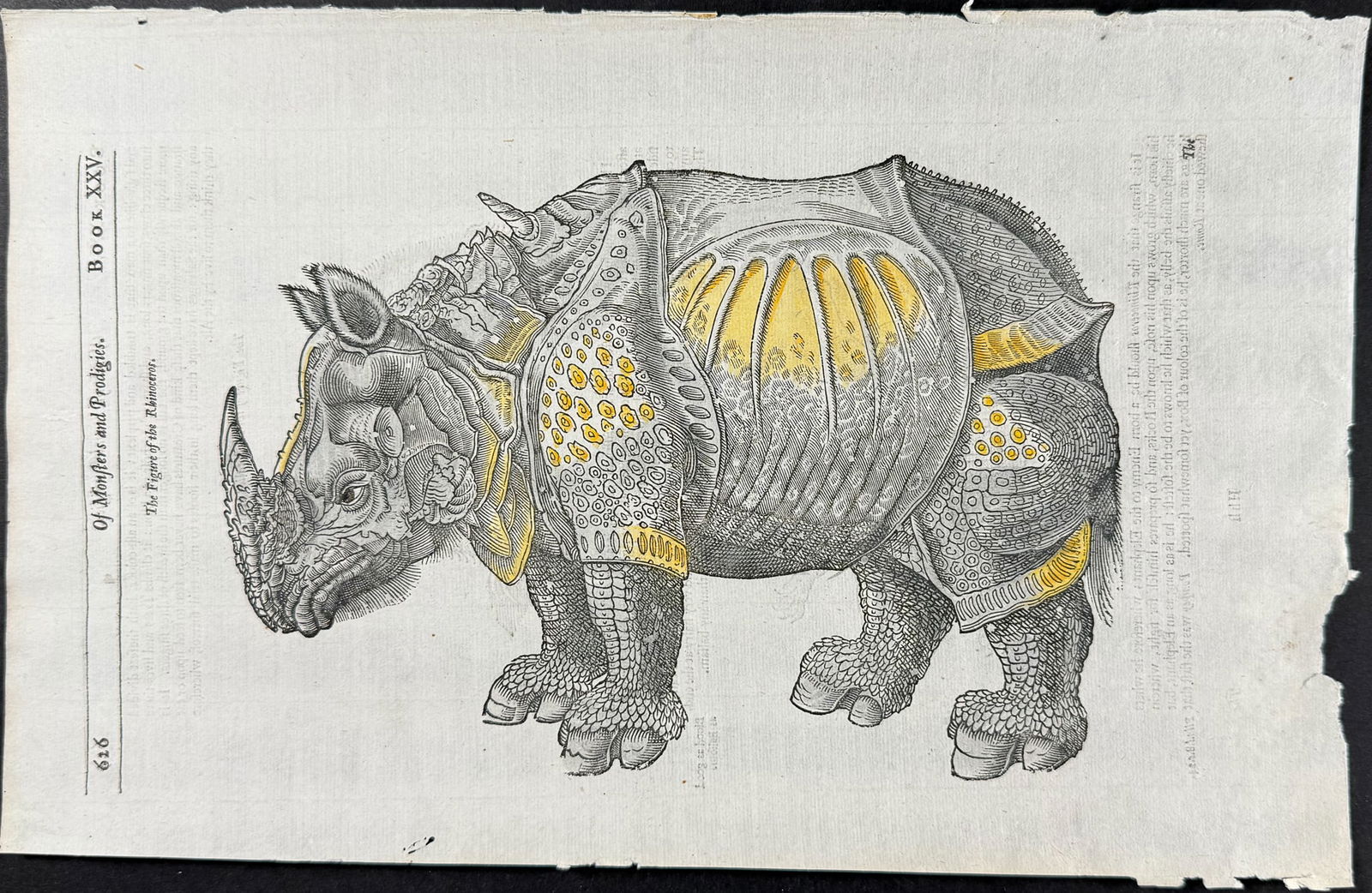 Pare, pub. 1664 - Rhinoceros after Albrecht Durer (1 of 1)