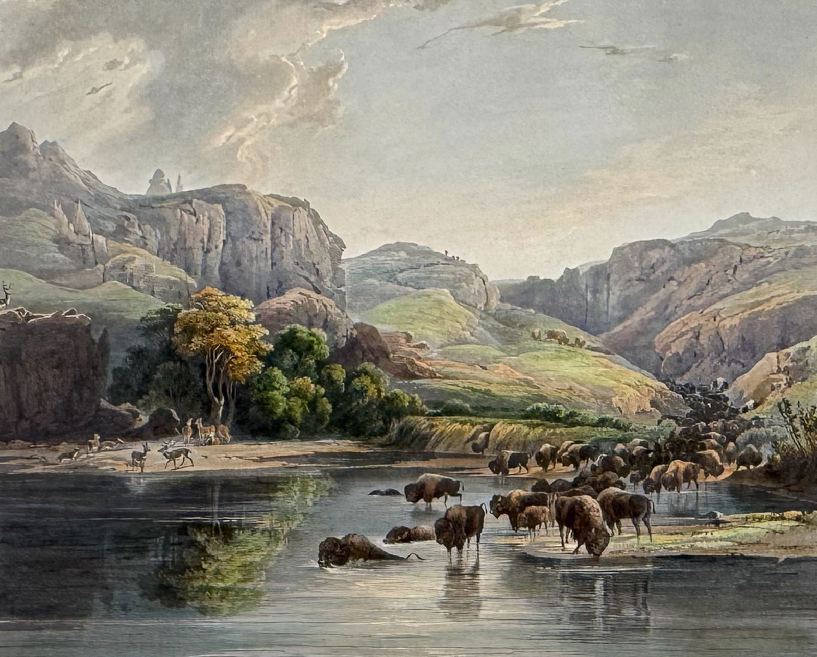Karl Bodmer - Herds of Bison and Elk on the Upper Missouri. 47: This rare aquatint engraving is from Karl Bodmer's Travels in the Interior of North America or Voyage Dans l?Int?rieur De l?Am?rique Du Nord Execut? Pendant les Ann?es 1832, 1833 et 1834. The work