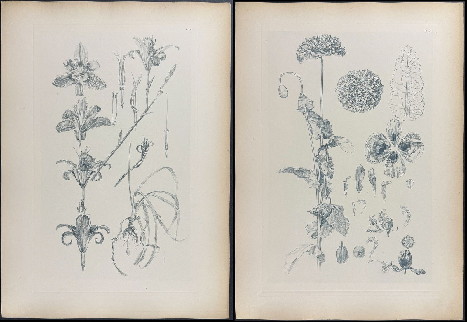 Mucha, Folio - 5 Floral Design or Motif Lithographs (1 of 6)