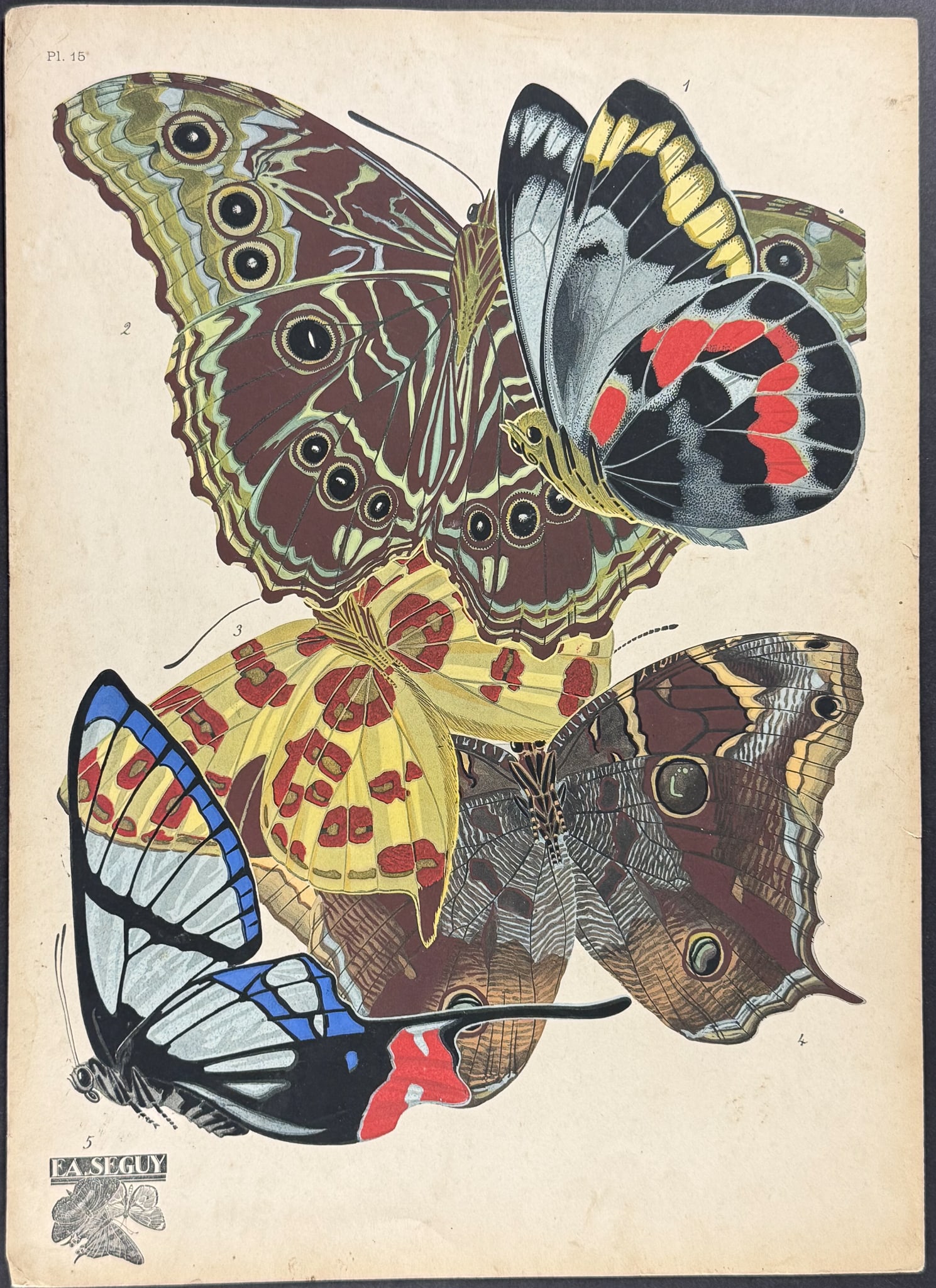 Seguy - Butterfly or Moth Pochoir. 15 (1 of 1)