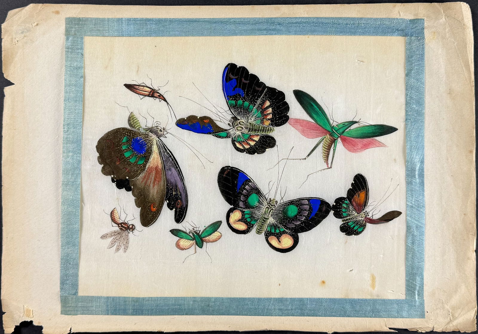 Original Chinese Watercolor of Butterflies or Moths & Insects (1 of 1)