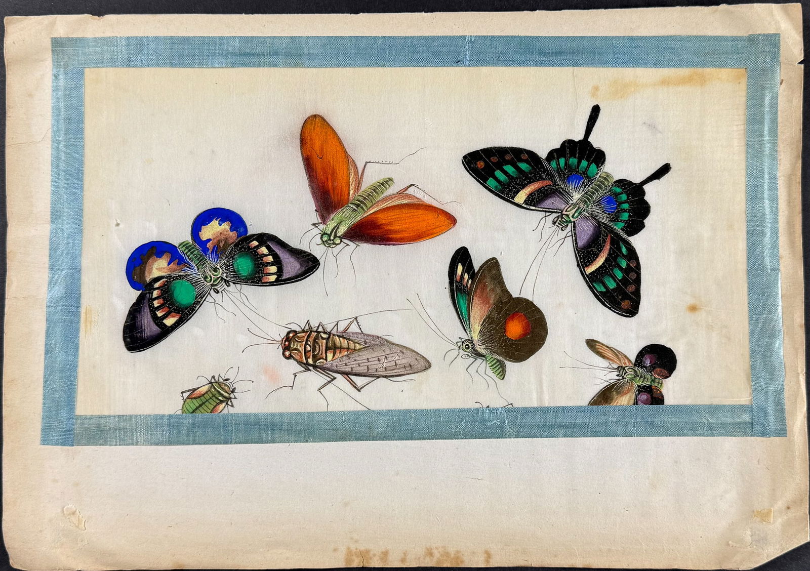 Original Chinese Watercolor of Butterflies or Moths & Insects: This is richly colored original painting with blue ribbon border. It was completed in China in the 1800s. Paper Size: ~ 11 1/2? by 9 1/2? Paper Type or Special Features: Original Painting