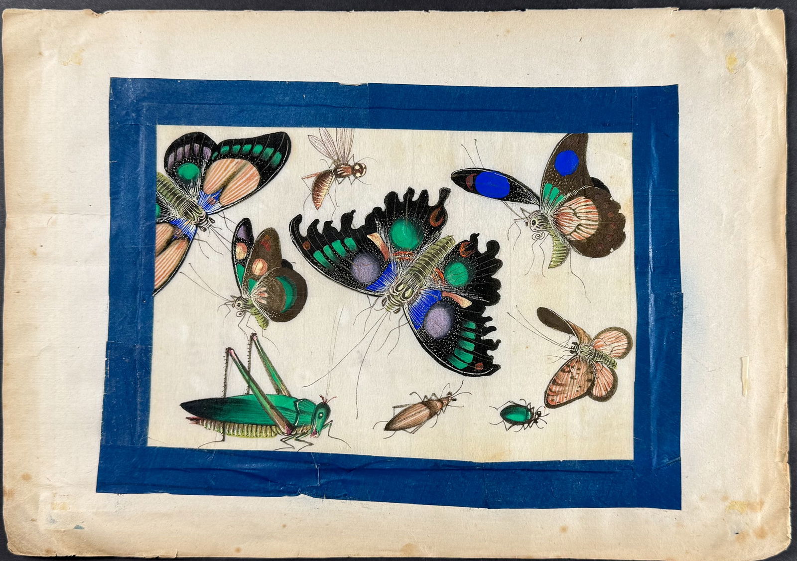 Original Chinese Watercolor of Butterflies or Moths & Insects (1 of 1)