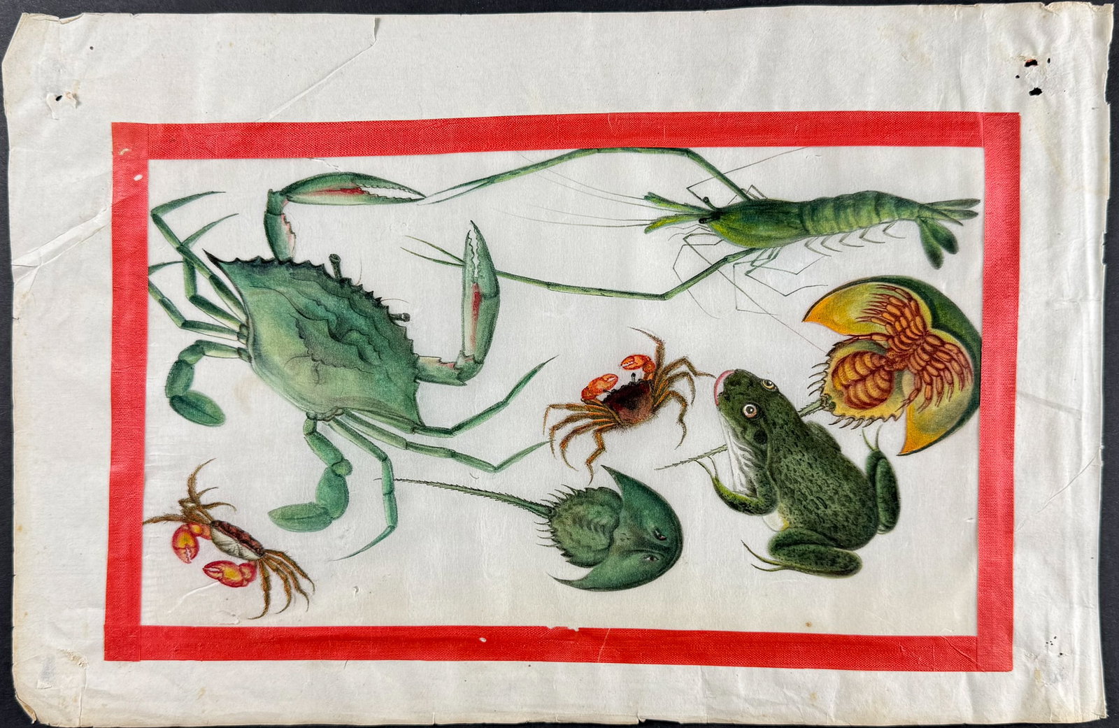 Original Chinese Watercolor of Crab, Frog, Horseshoe Crab, Shrimp (1 of 1)