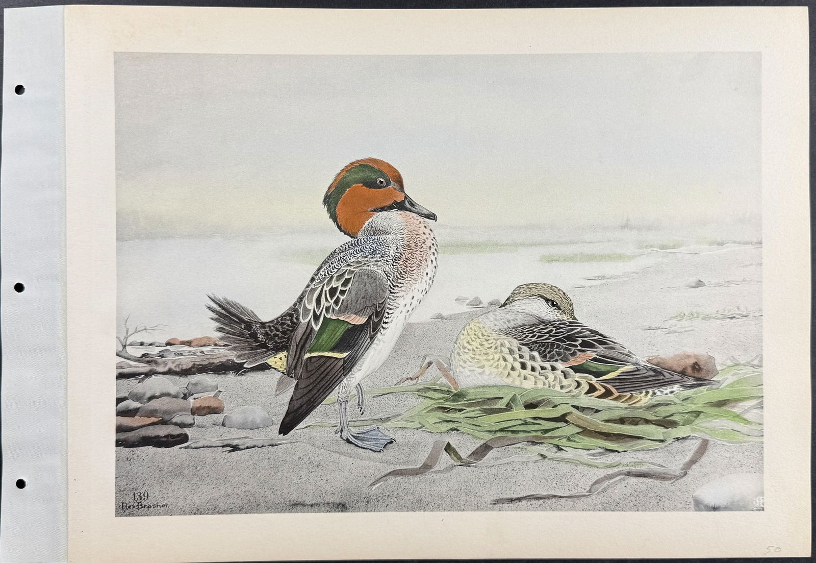 Brasher - 4 Duck Prints - 3