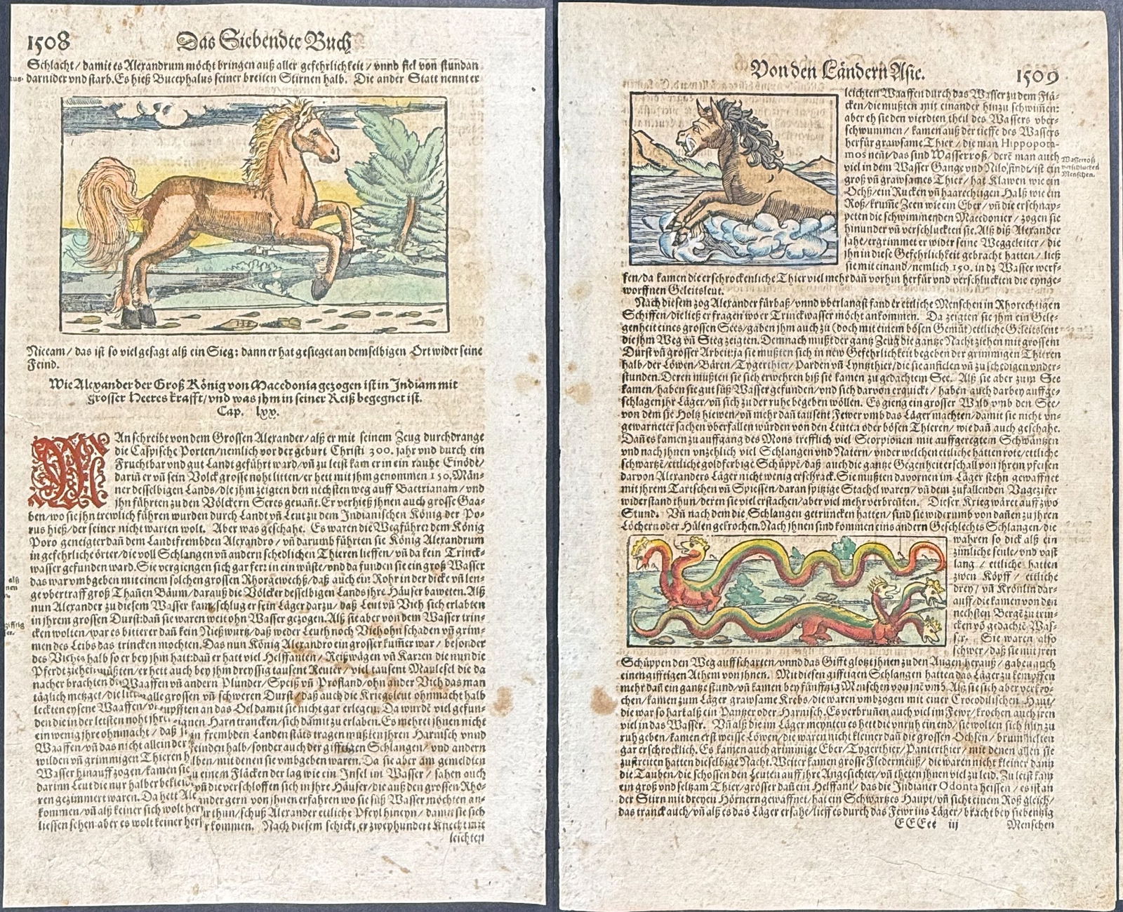 Munster - 4 Pages of Engravings of Sea Horse, Sea Monsters, Horse, Bear: This very old woodcut is from Sebastian Munster's Cosmographey: das ist Beschreibung aller L?nder [...] It was published in Basel between 1544 and 1628 (no title dating available). The work was a mass