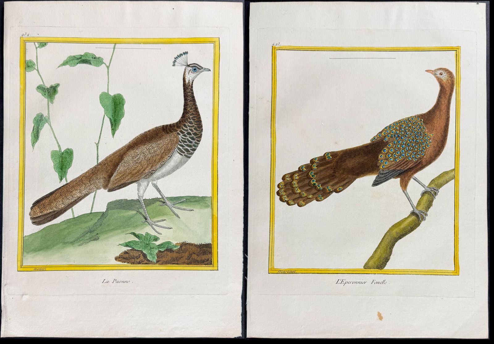 Martinet - Pair of Peacock Engravings: This originally hand-colored engraving is from Georges-Louis Leclerc de Buffon & Francois-Nicolas Martinet's work entitled Histoire Naturelle des Oiseaux. It was published in Paris by Imprimerie