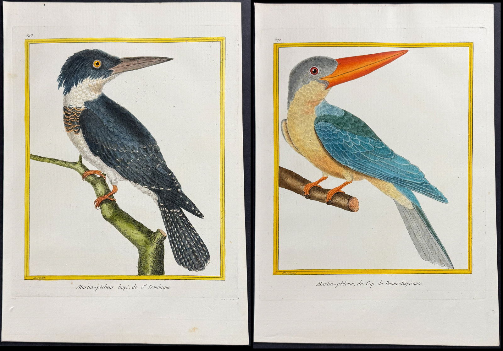 Martinet - Pair of Kingfisher Engravings: This originally hand-colored engraving is from Georges-Louis Leclerc de Buffon & Francois-Nicolas Martinet's work entitled Histoire Naturelle des Oiseaux. It was published in Paris by Imprimerie