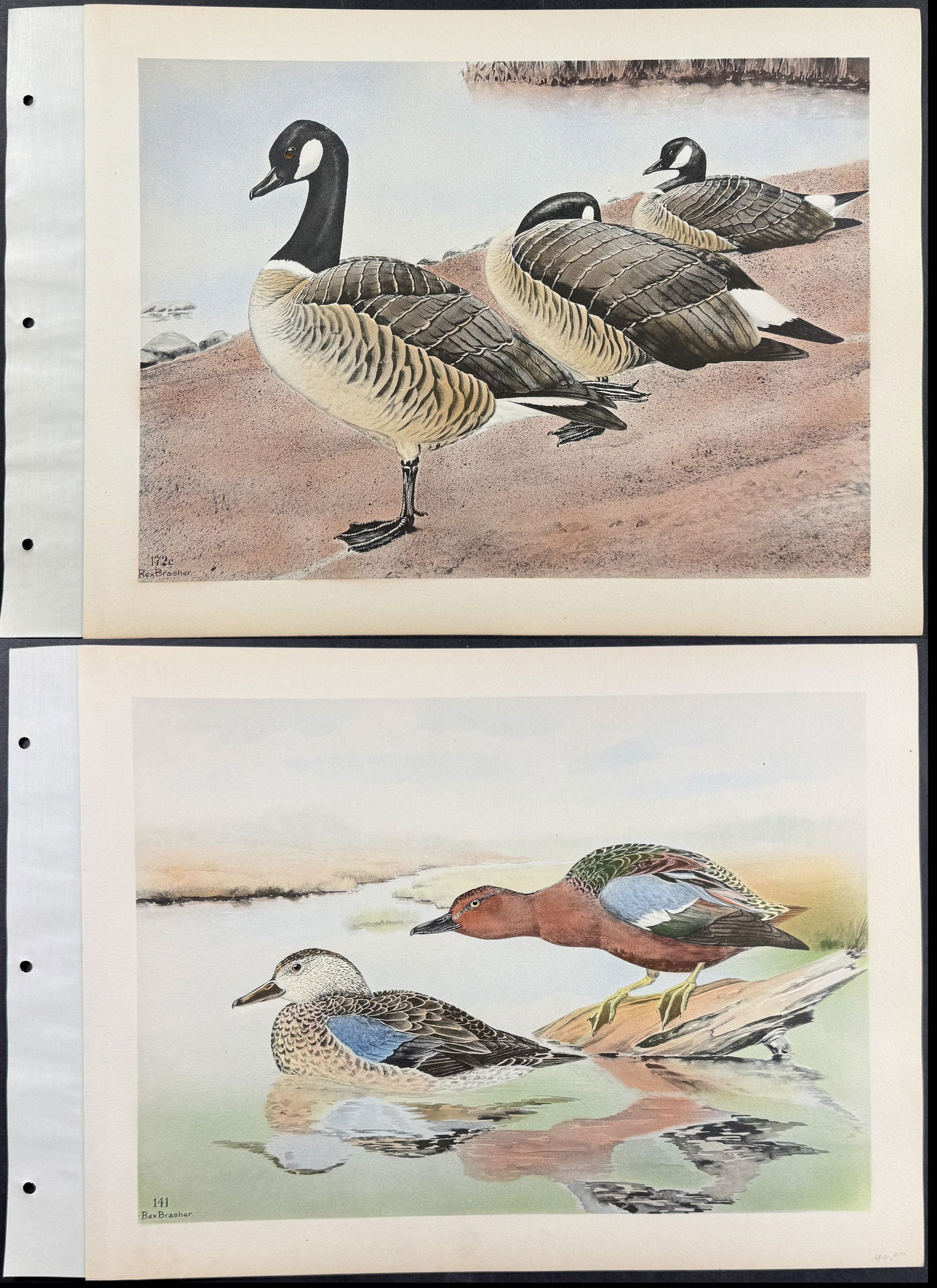 Brasher - 8 Duck & Goose Prints (1 of 9)