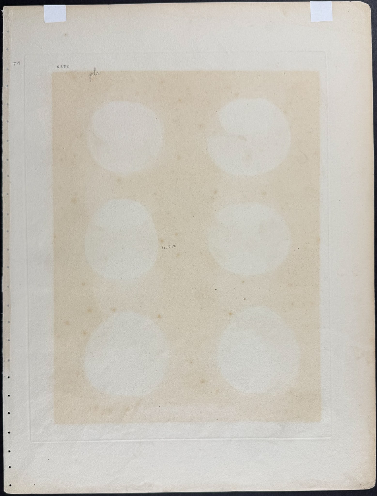 Brookshaw, Folio - Apples. 91 - 3