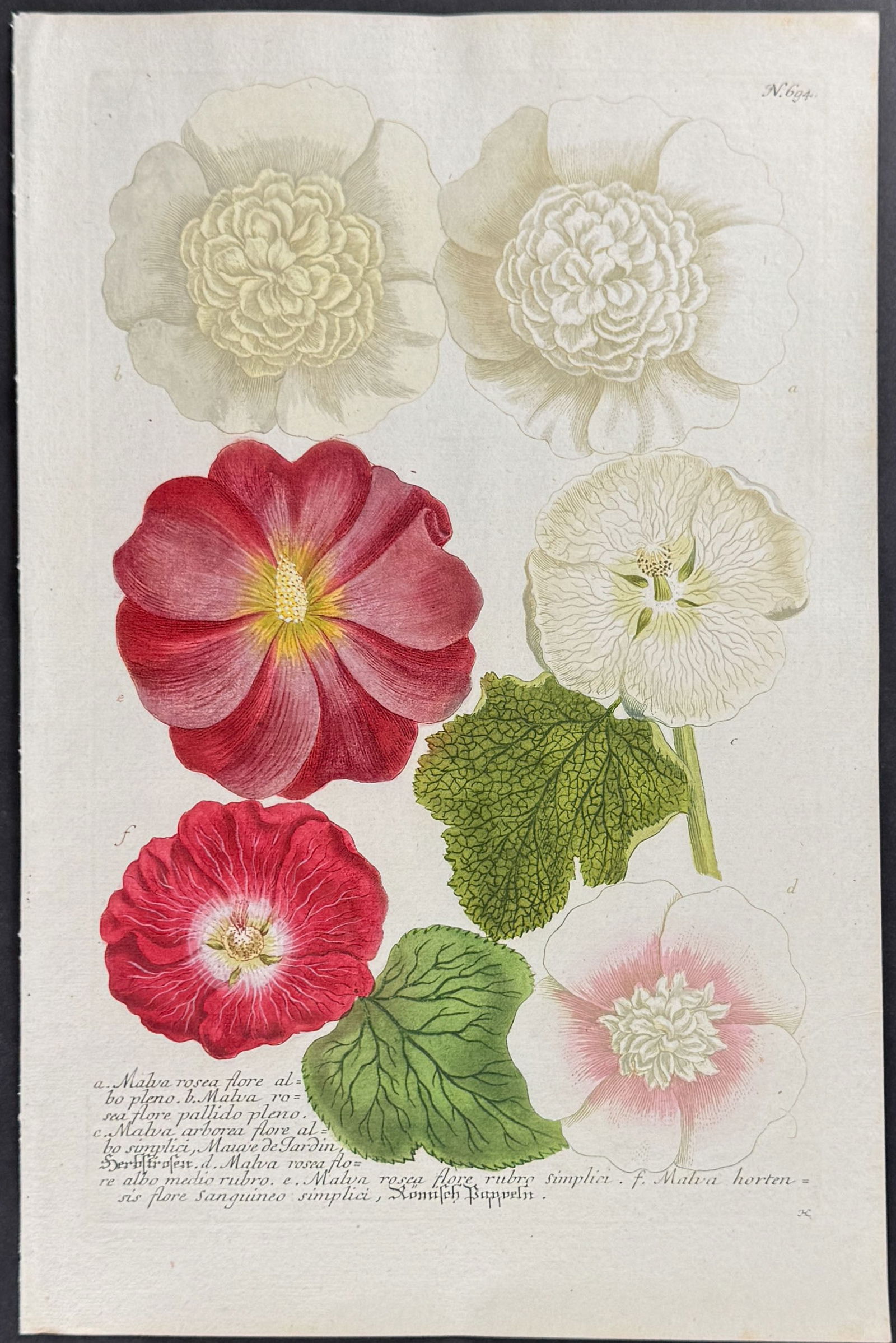 Weinmann - 3 Mallow Engravings - 3