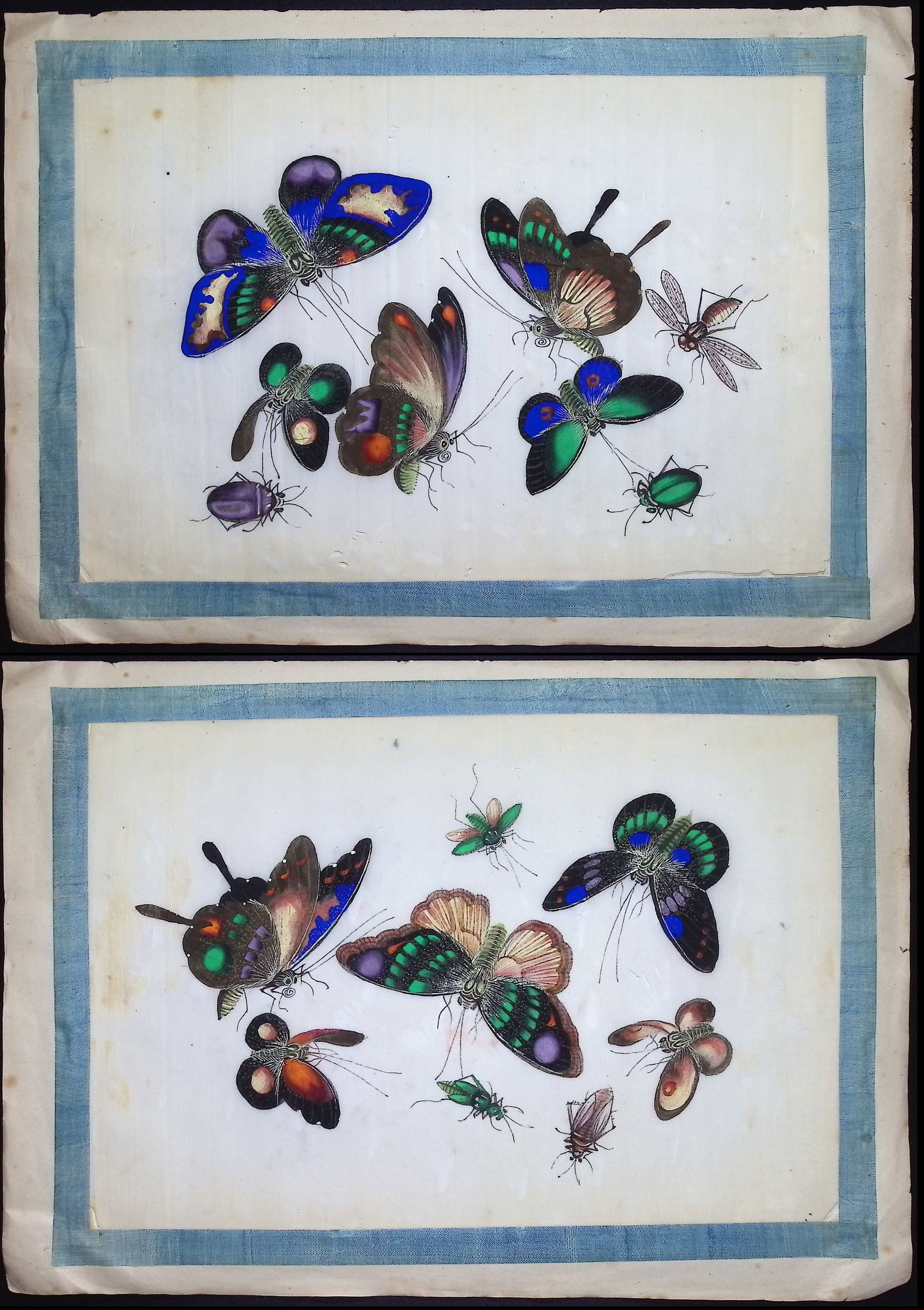 Pair of Original Chinese Watercolors of Moths, Butterflies, Insects: This is richly colored original painting with blue ribbon border. It was completed in China in the 1800s. Paper Size: ~ 13? by 9? Paper Type or Special Features: Original Painting