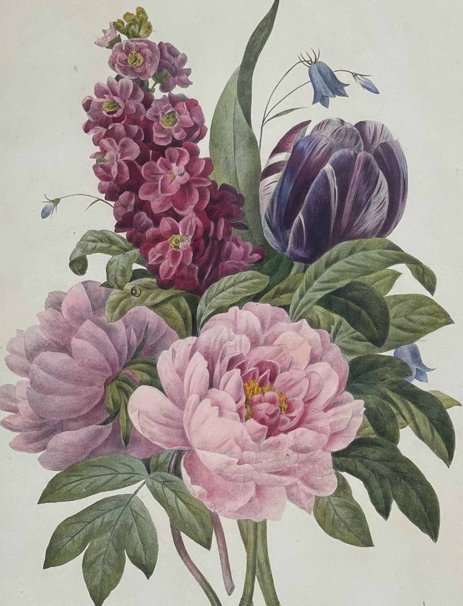 Redoute, Folio - Floral Bouquet - Peony, Tulip: This exquisite, exceptionally rare, folio hand-colored lithograph is from Pierre-Joseph Redoute's Collection de beaux bouquets lithographi?s par divers artistes d?apres les meilleurs peintres de
