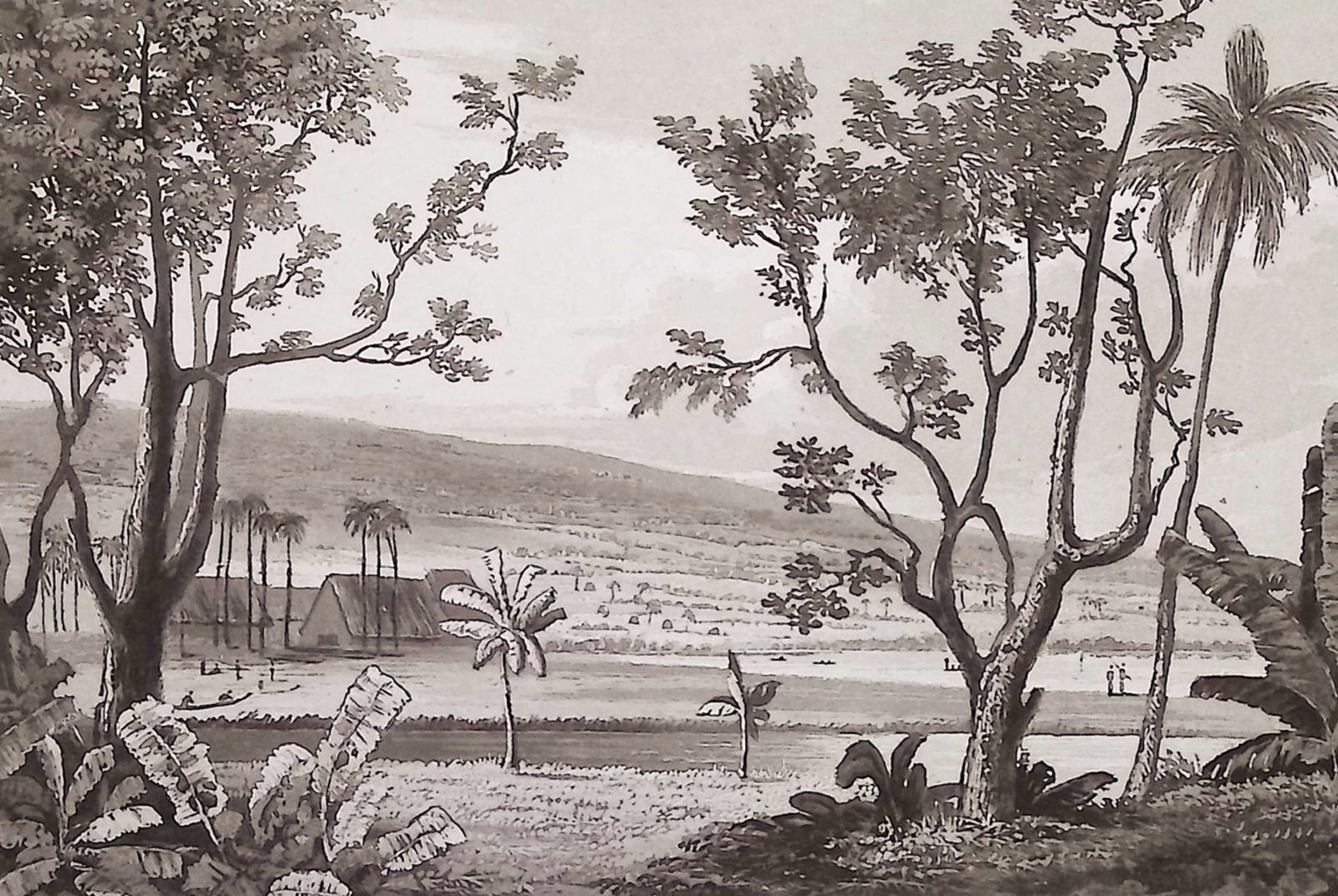 Byron, Hawaii - Missionary Houses in Byron Bay: This first edition engraving is from George Anson Byron's Voyage of H.M.S. Blonde to the Sandwich Islands, in the Years 1824-1825. The work was published in London by John Murray in 1826. The work was