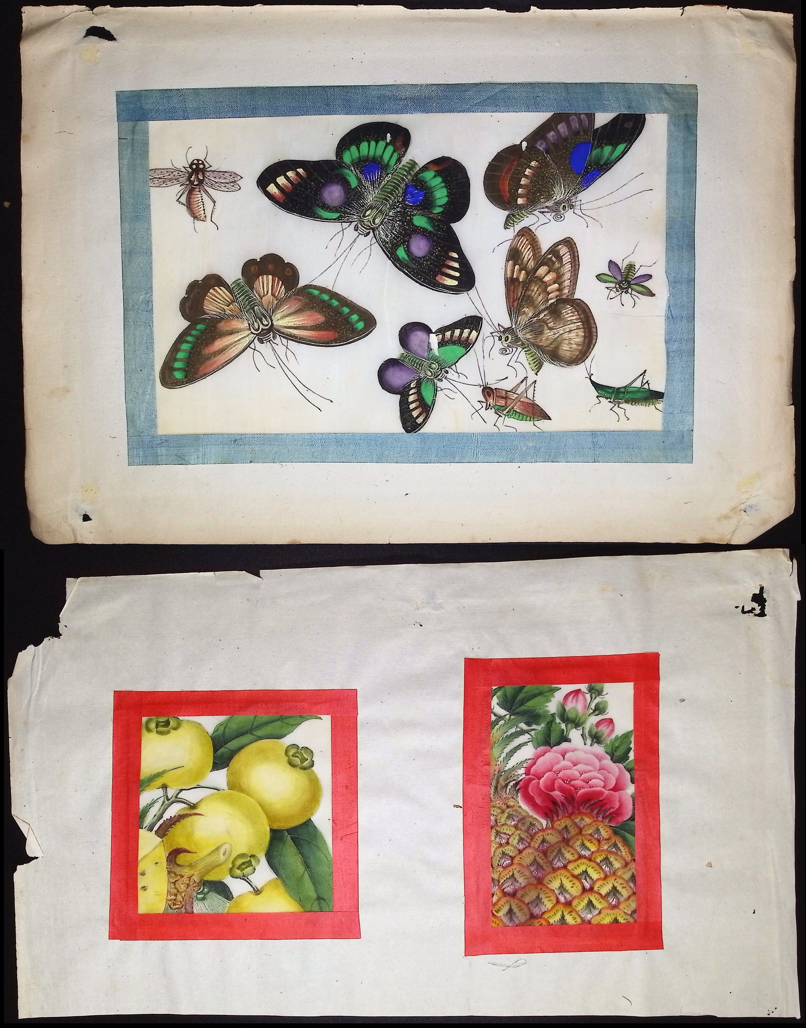 8 Original Chinese Watercolors of Butterflies, Moths, Insects, and Flower: This is richly colored original painting with blue ribbon border. It was completed in China in the 1800s. Paper Size: ~ 11 1/4 - 14 1/4? by 8 1/4 - 9 1/4? Paper Type or Special Features: 