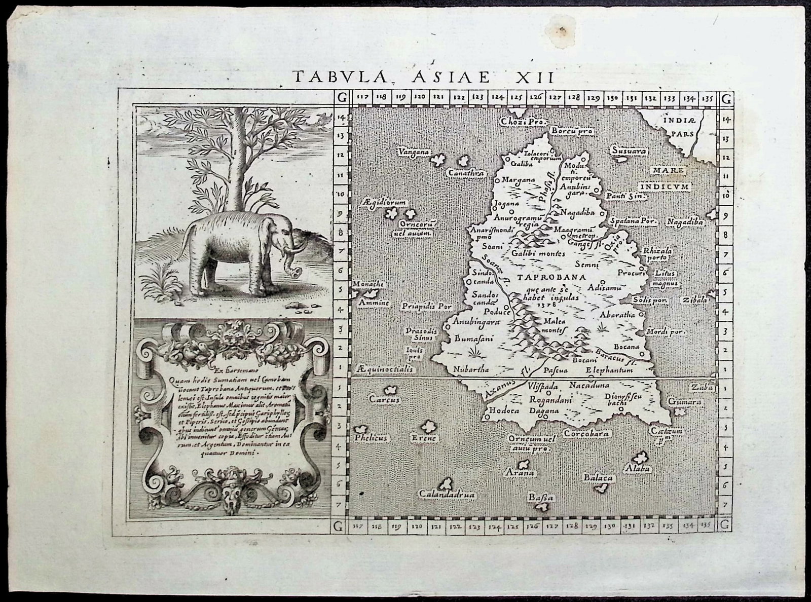 Magini's Ptolemy, pub. 1596 - Map of Taprobana, Island in Sumatra, with inset of Elephant (1 of 1)