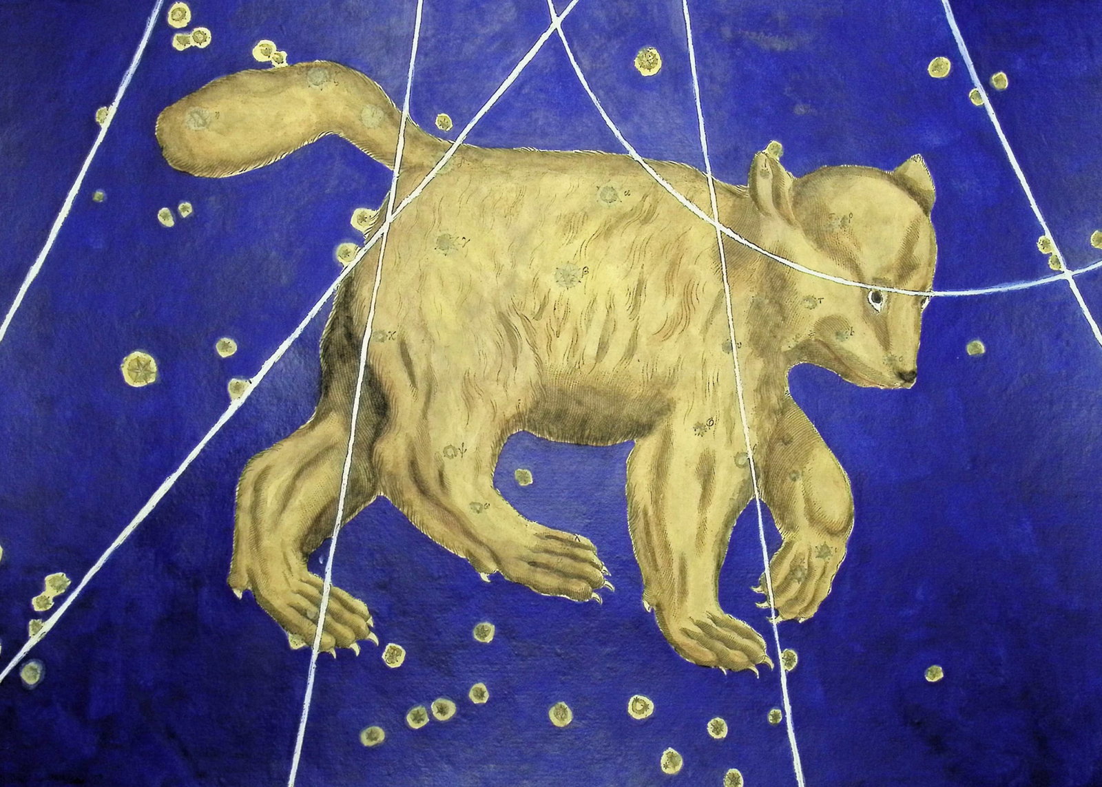 Bayer - Constellation or Star Chart of Ursa Major (Big Bear) (1 of 2)