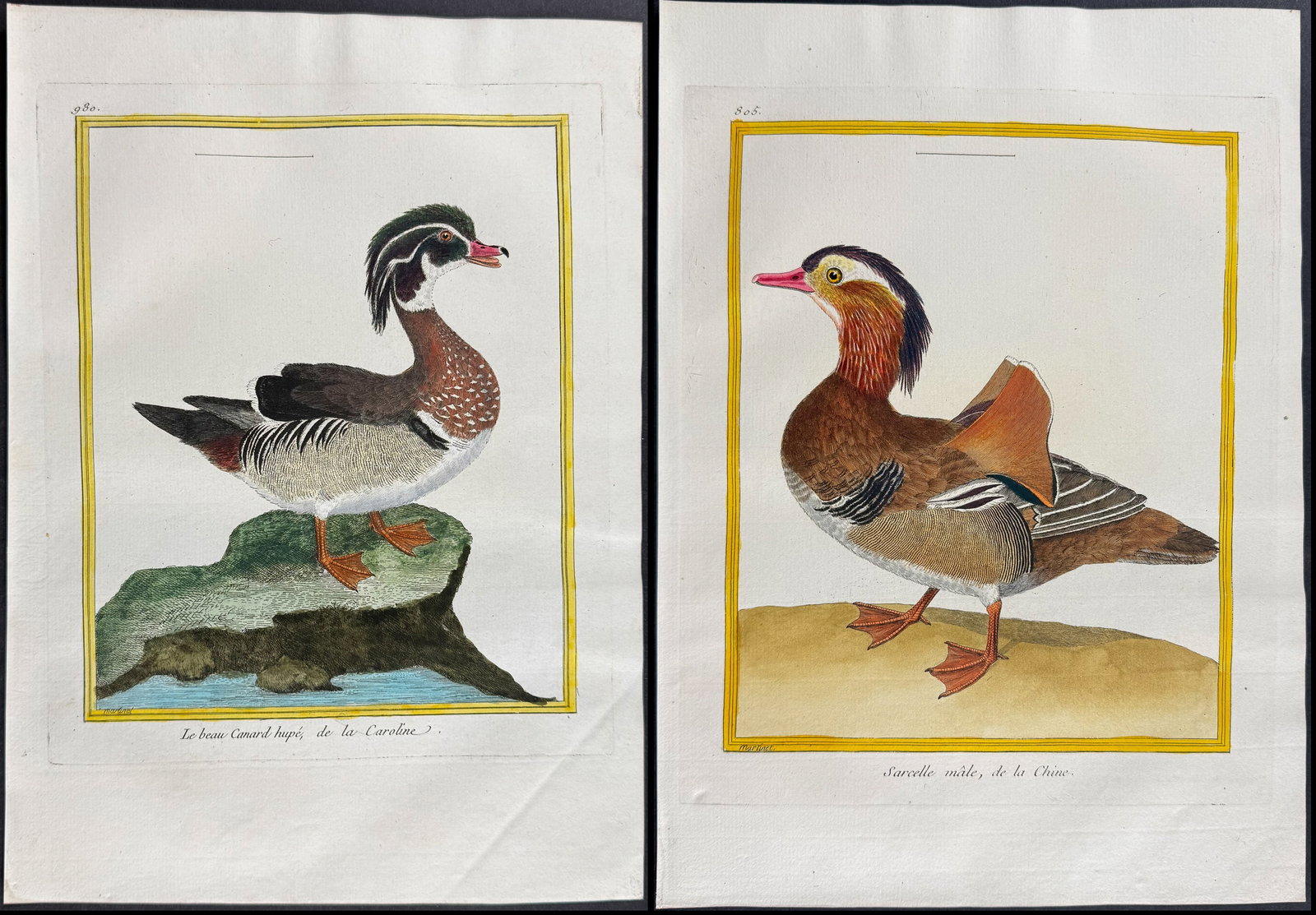 Martinet & Buffon - Pair of Duck Engravings (Mandarin & Wood Ducks): This originally hand-colored engraving is from Georges-Louis Leclerc de Buffon & Francois-Nicolas Martinet's work entitled Histoire Naturelle des Oiseaux. It was published in Paris by Imprimerie