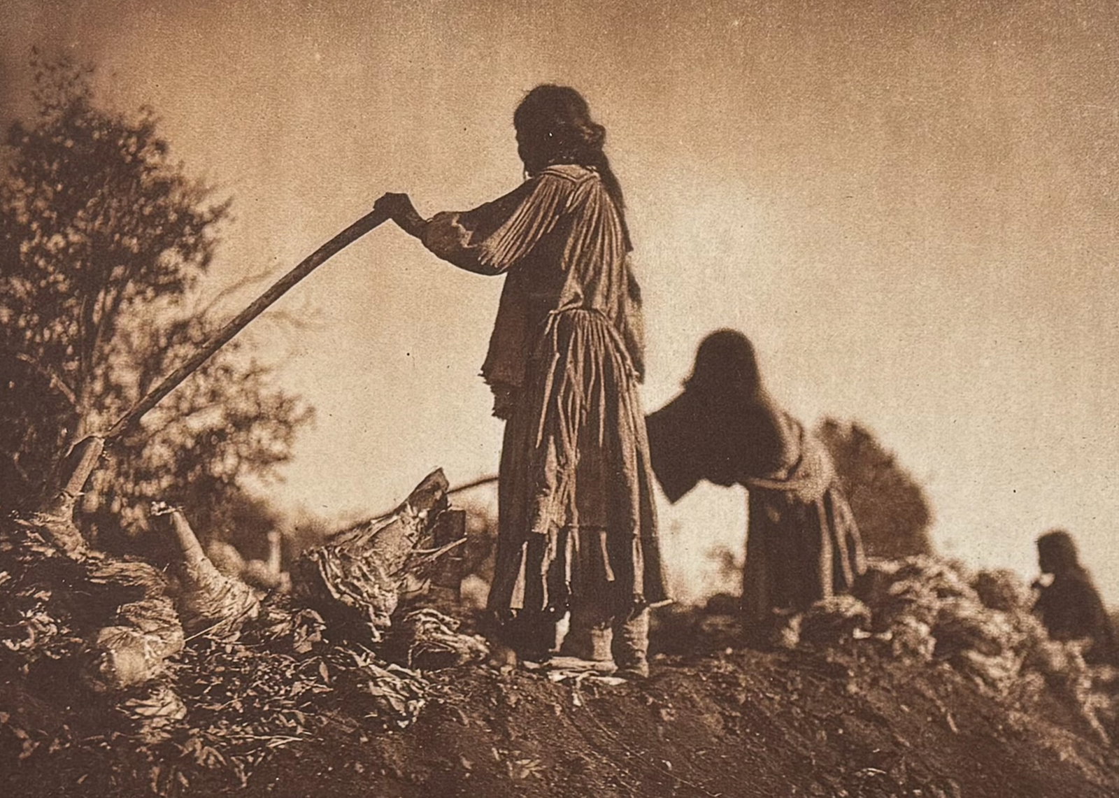 Edward Curtis - Filling the Pit - Apache: This moving photogravure in quarto size is from Edward Curtis's The North American Indian being a Series of Volumes Picturing and Describing the Indians of the United States and Alaska. Edited by