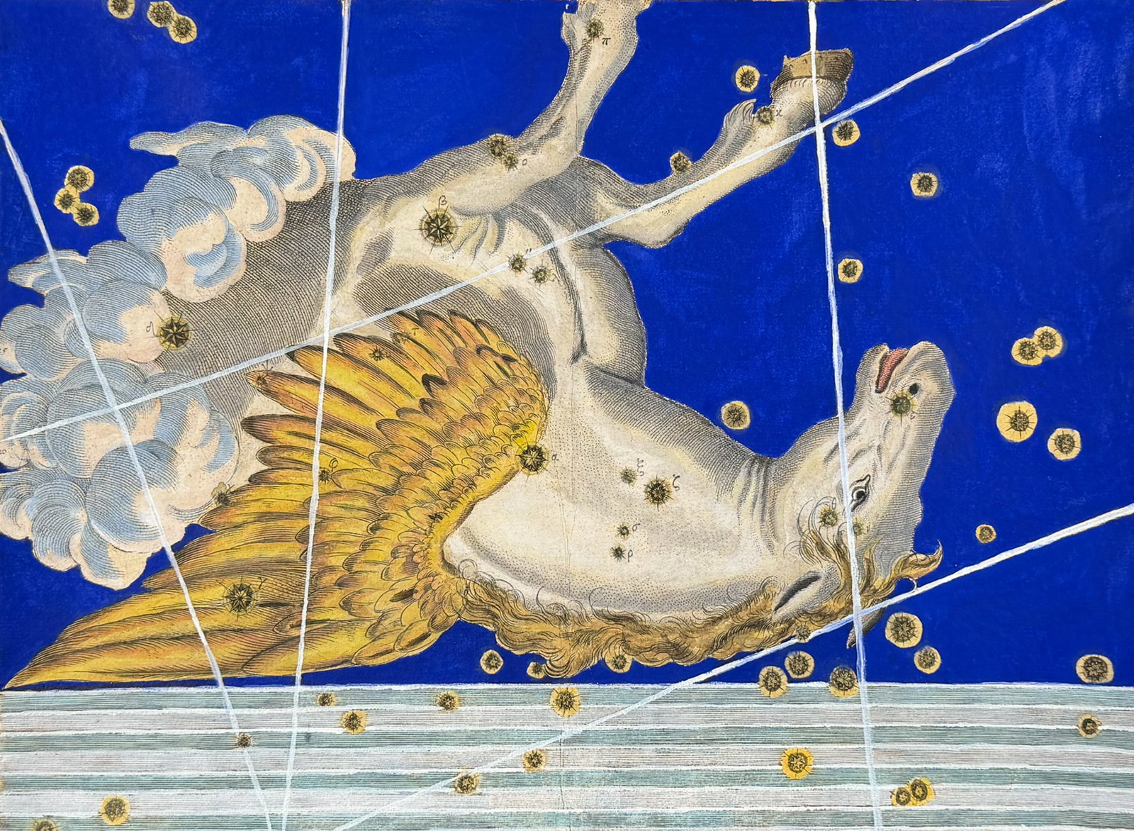 Bayer - Constellation or Star Chart of Pegasus (The Winged Horse): Perhaps the most influential book in celestial maps, Johann Bayer's Uranometria set long-lasting standards in the world of astronomy. Most importantly, this was not just a book of pictures of the skie