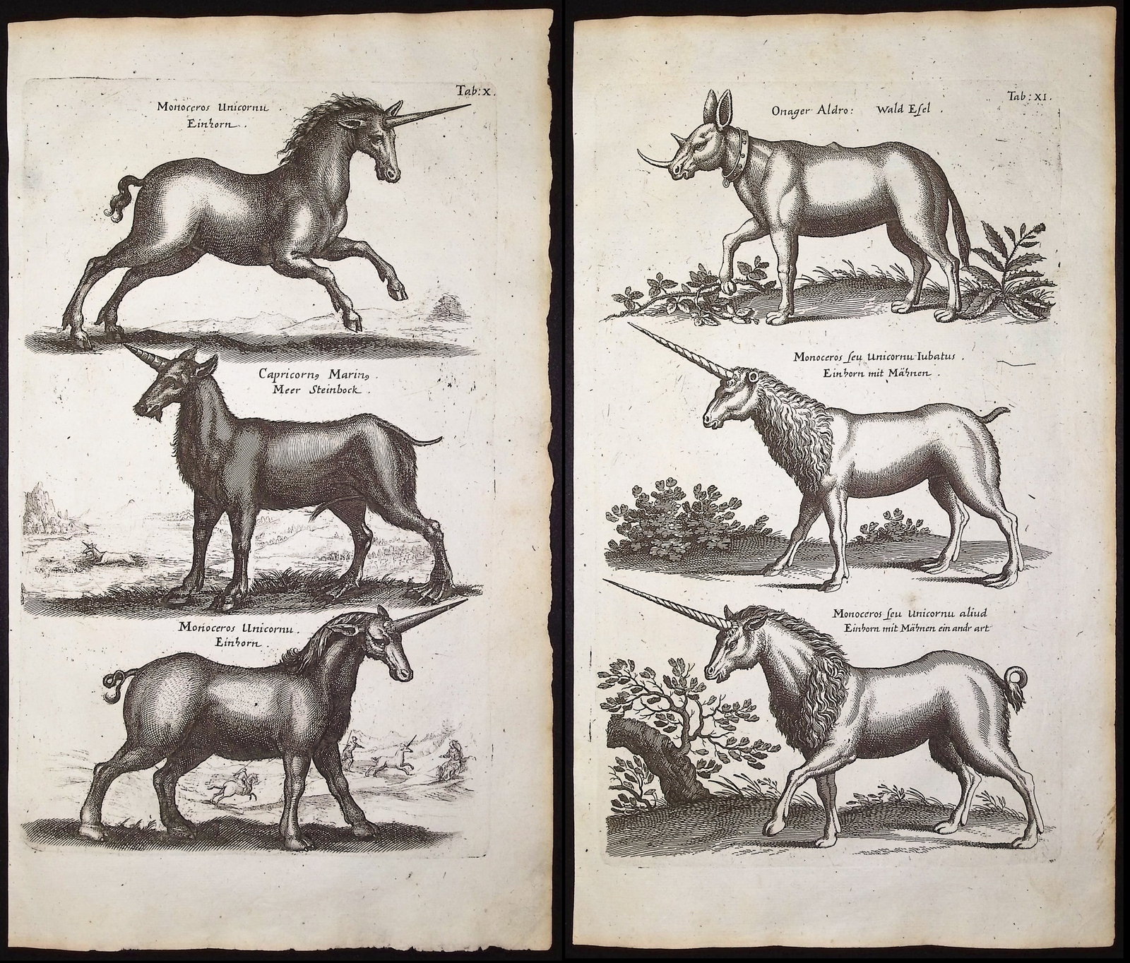 Merian & Jonston - Pair of Unicorn Engravings: This exceptional copper engraving is from Merian & Jonston's Historia Naturalis. The work was published in Amsterdam in 1660 by J. J. Schipper. Matthias Merian completed the copper plate engravings af