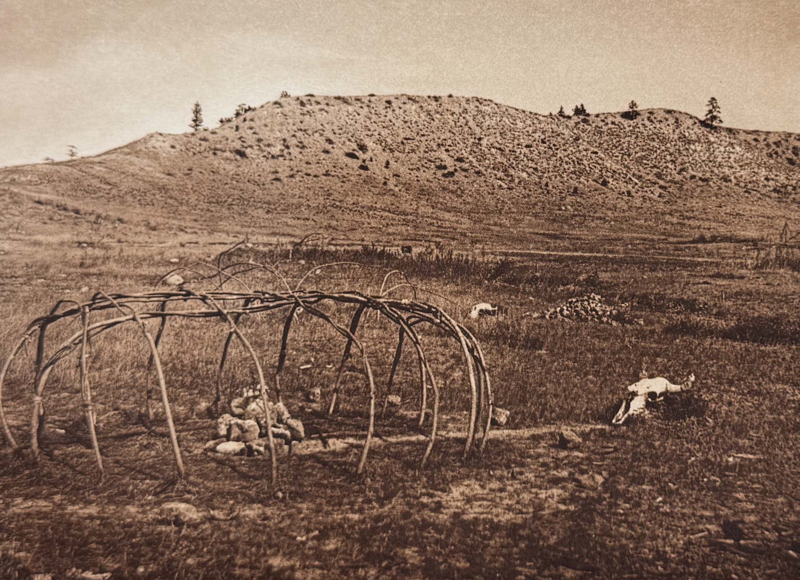 Edward Curtis - Sweat-lodge Frame - Cheyenne: This moving photogravure in quarto size is from Edward Curtis's The North American Indian being a Series of Volumes Picturing and Describing the Indians of the United States and Alaska. Edited by Fred