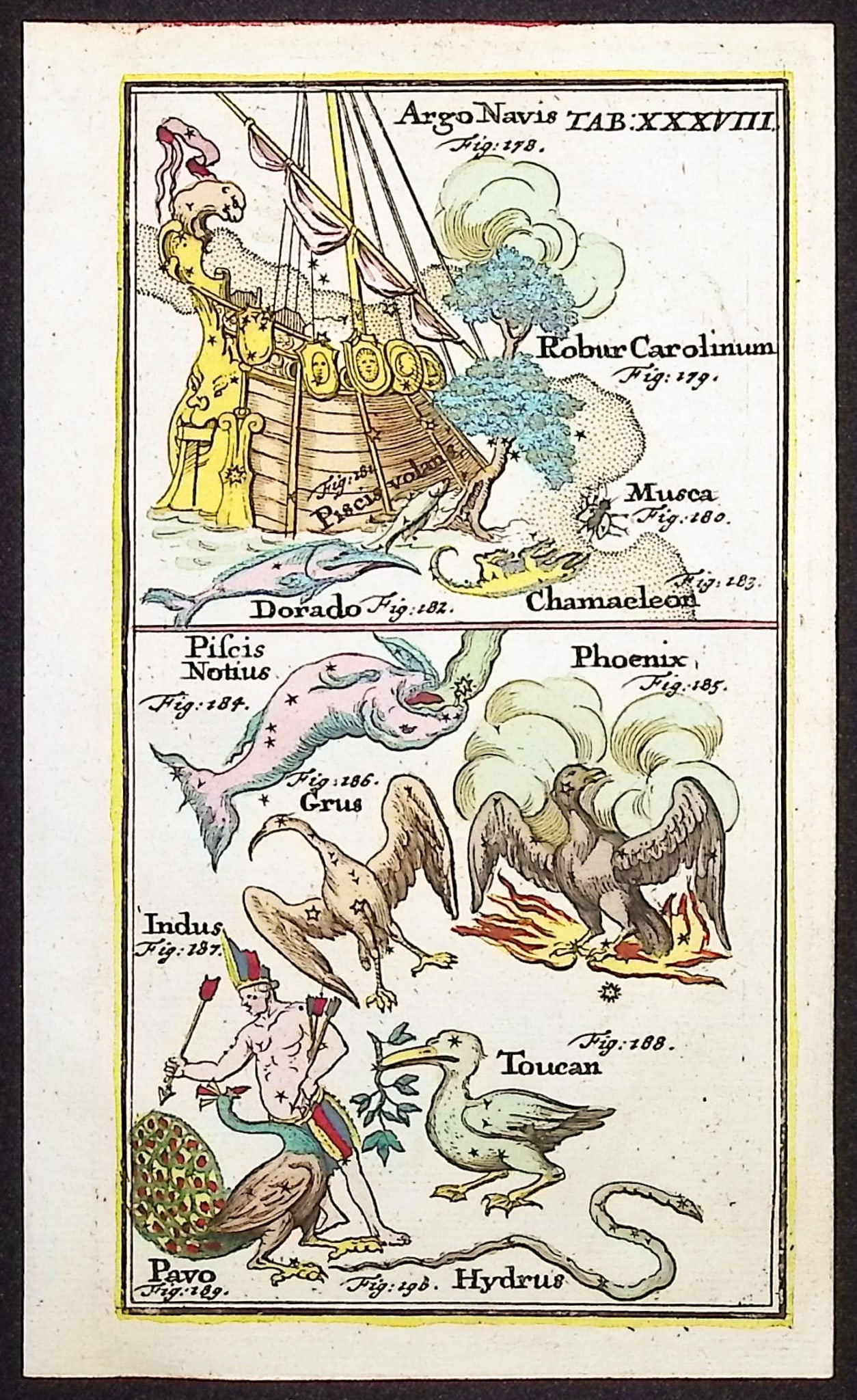 Rost - Celestial or Astronomy Engraving of Argo Navis, Llobur Carolinum, Muca, Chamaeleon, Dorado, (1 of 1)