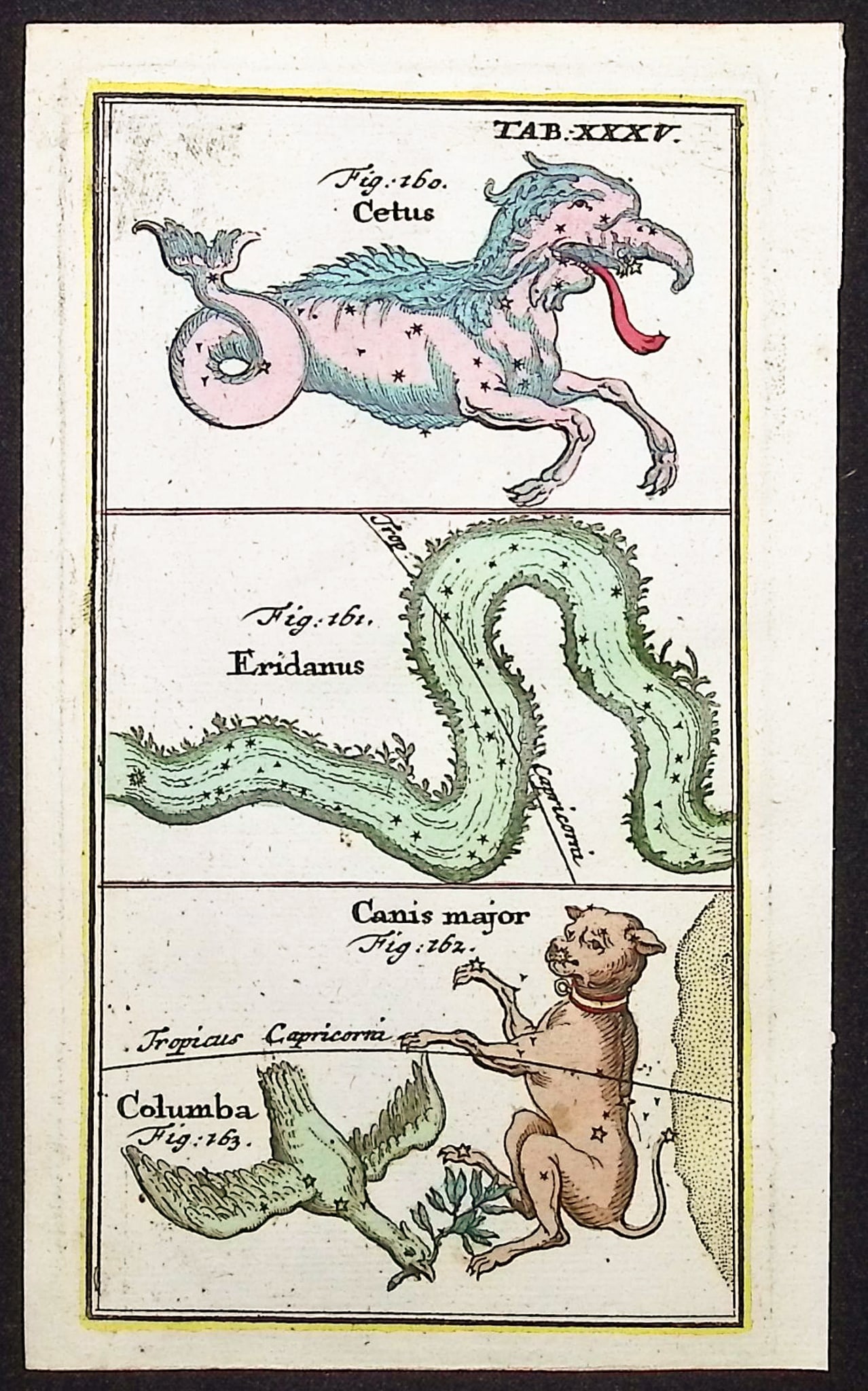 Rost - Celestial or Astronomy Engraving of Cetus, Eridanus, Canis major, Columba (1 of 1)