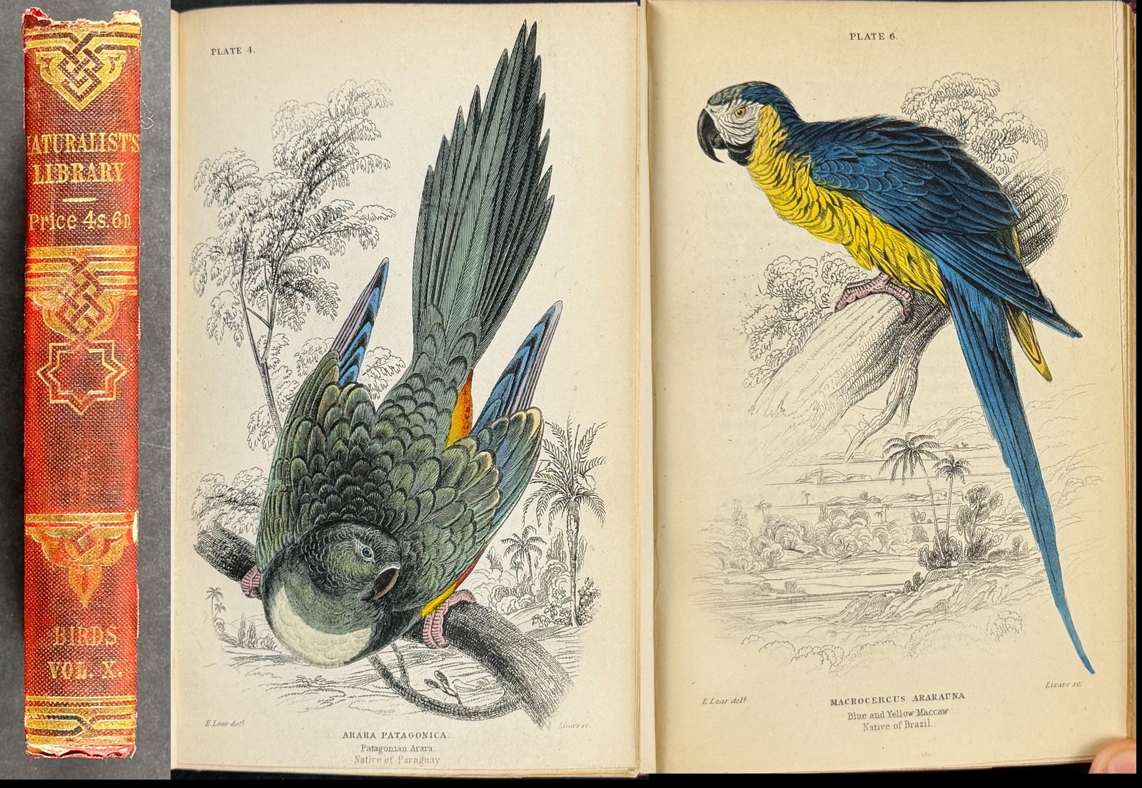 Jardine's The Naturalist's Library - Volume 10 with 30 Originally Hand-colored Engravings of: This charming volume of engravings is from Sir William Jardine?s work The Naturalist's Library. The work was published in 1843 in London & Edinburgh. Each volume features a memoir of a prominent man.