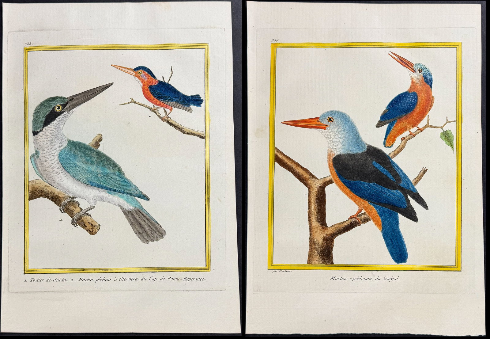 Martinet & Buffon - Pair of Kingfisher Engravings: This originally hand-colored engraving is from Georges-Louis Leclerc de Buffon & Francois-Nicolas Martinet's work entitled Histoire Naturelle des Oiseaux. It was published in Paris by Imprimerie Royal