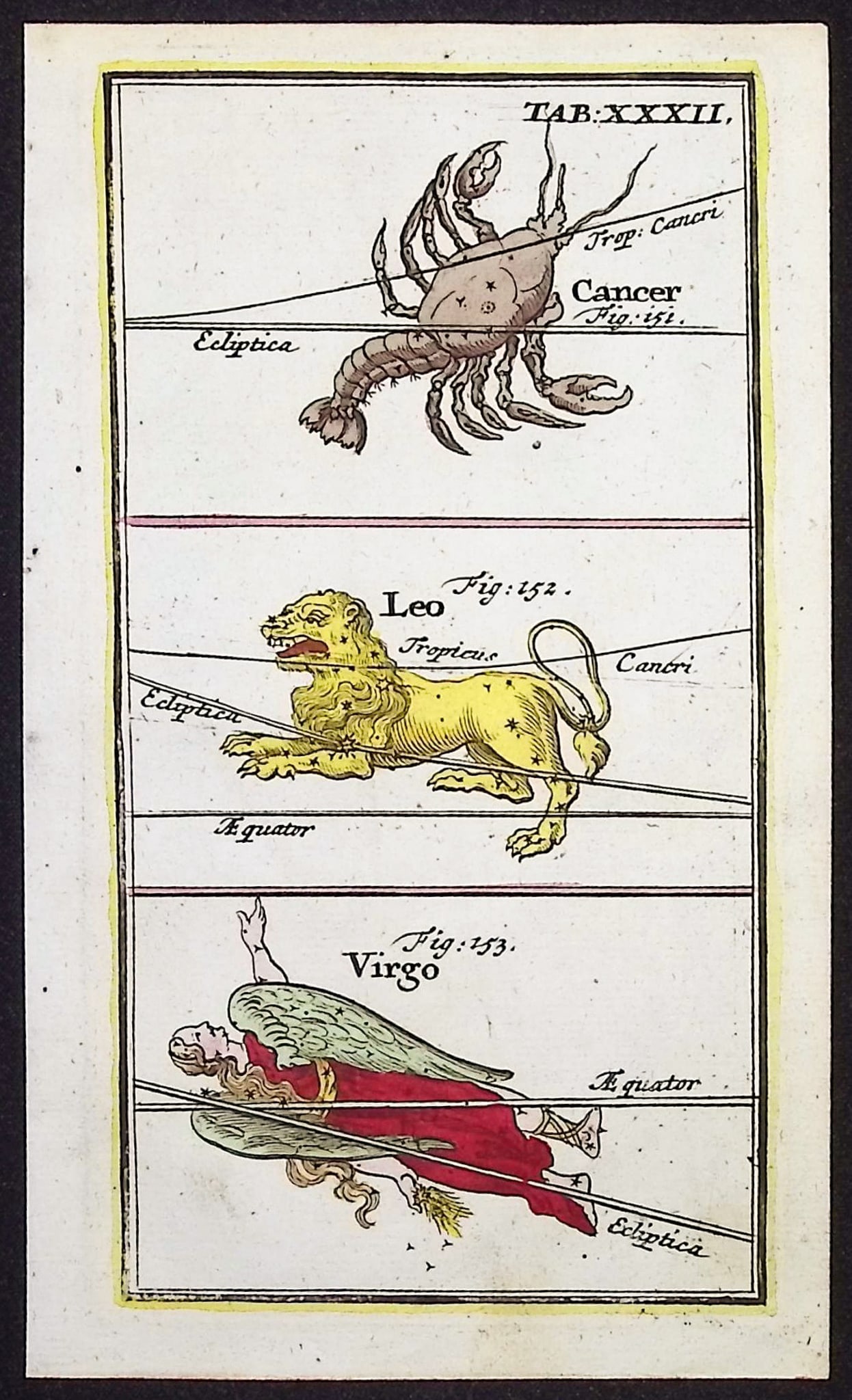 Rost - Celestial or Astronomy Engraving of Cancer, Leo, Virgo (1 of 1)
