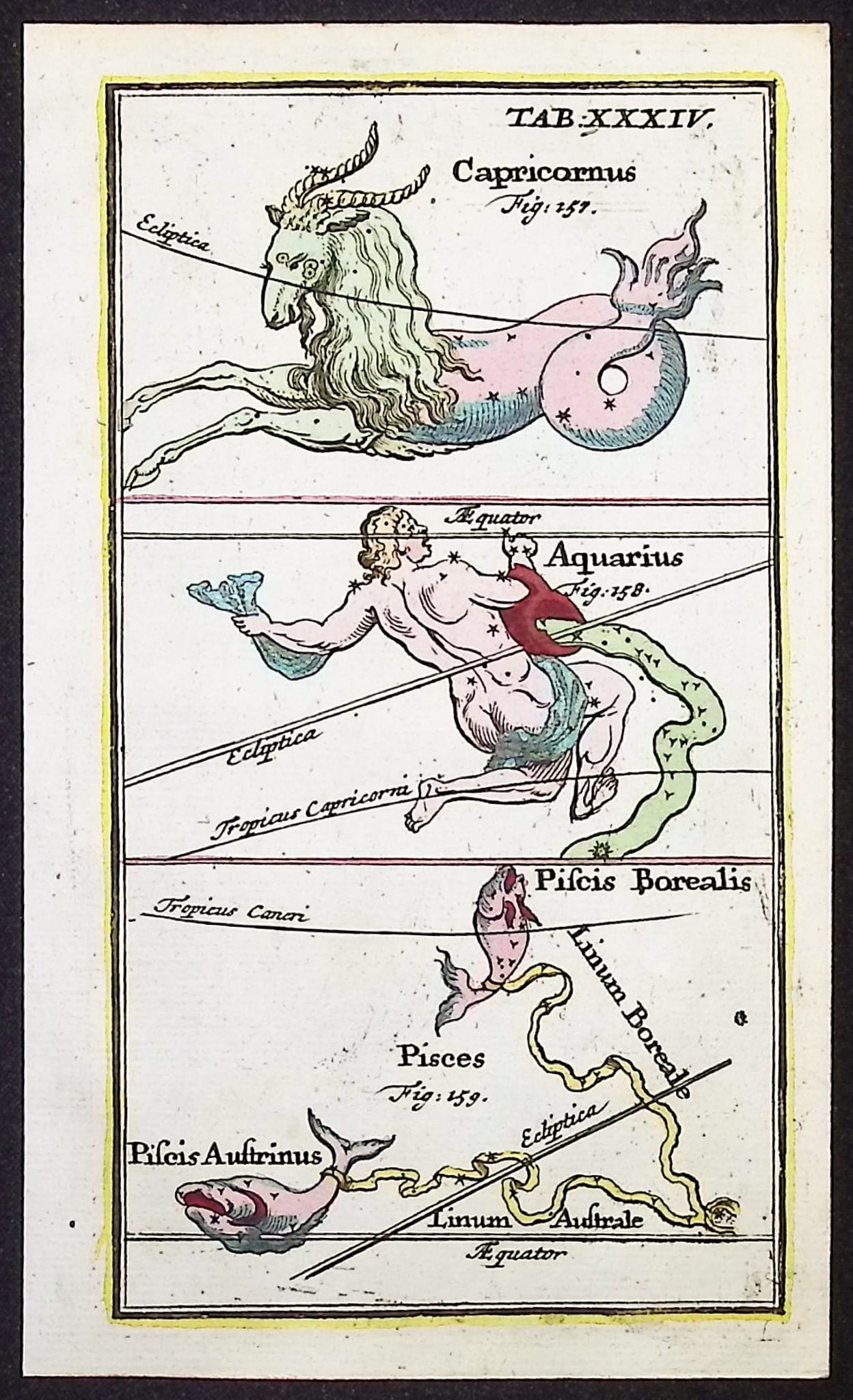 Rost - Celestial or Astronomy Engraving of Capricornus, Aquarius, Pisces (1 of 1)