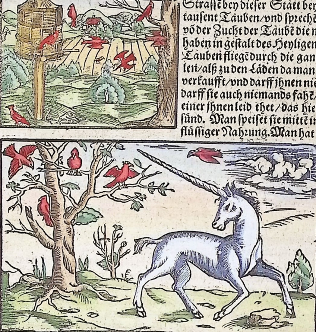 Munster, pub. 1598 - Unicorn, Birds: This very old woodcut is from Sebastian Munster's "Cosmographey: das ist Beschreibung aller L?nder [...]" It was published in Basel in 1598 by Henric Petri. The work was a massive chronicle of all the