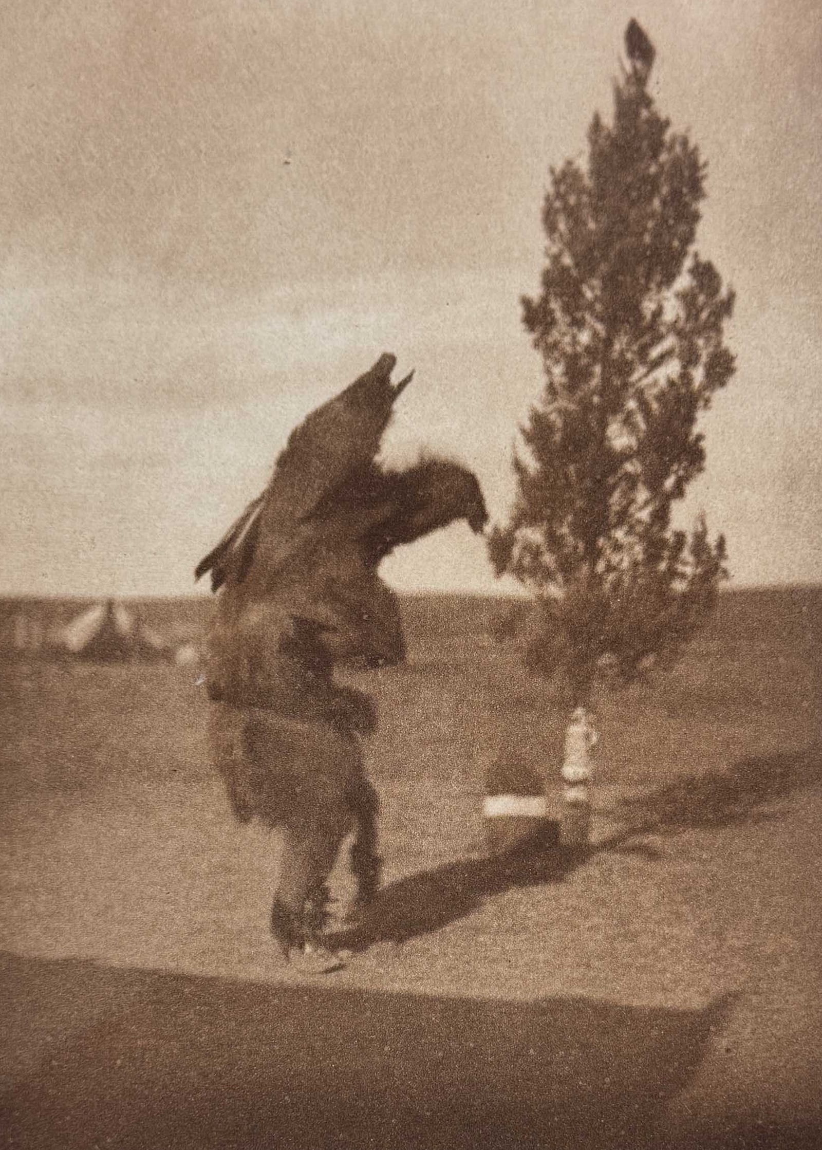 Edward Curtis - Prayer to the Cedar - Arikara: This moving photogravure in quarto size is from Edward Curtis's "The North American Indian being a Series of Volumes Picturing and Describing the Indians of the United States and Alaska. Edited by