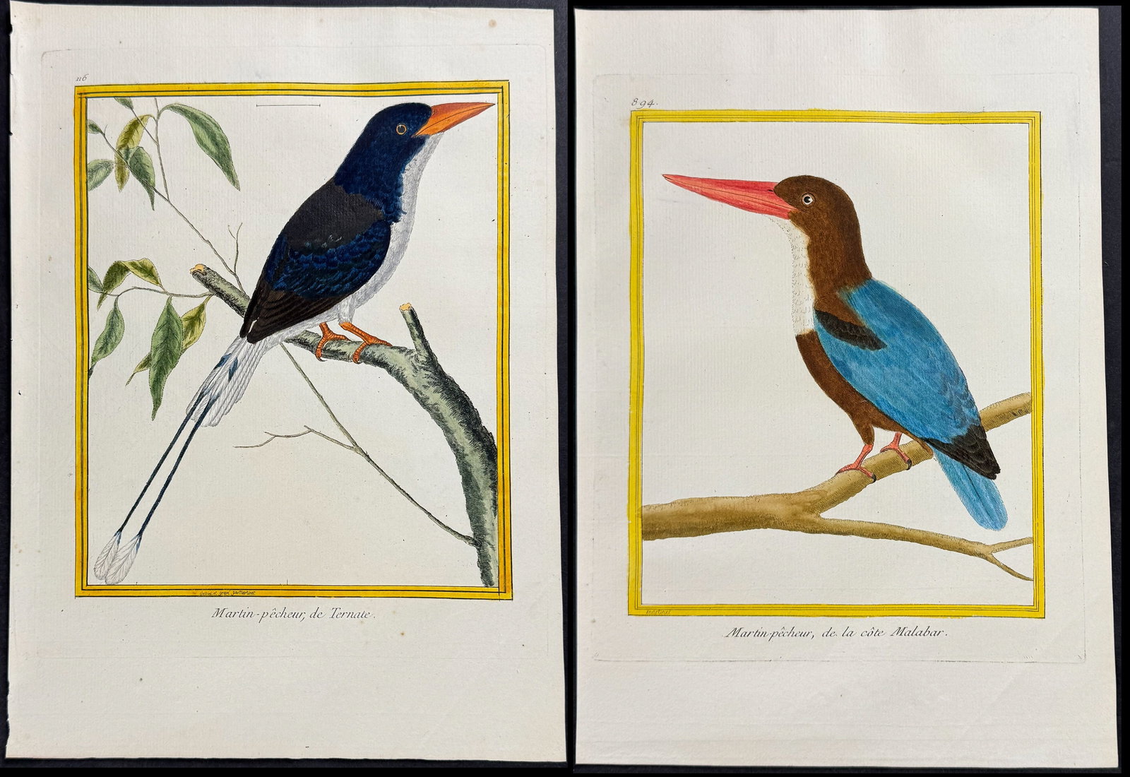 Martinet & Buffon - Pair of Kingfisher Engravings: This originally hand-colored engraving is from Georges-Louis Leclerc de Buffon & Francois-Nicolas Martinet's work entitled "Histoire Naturelle des Oiseaux". It was published in Paris by Imprimerie