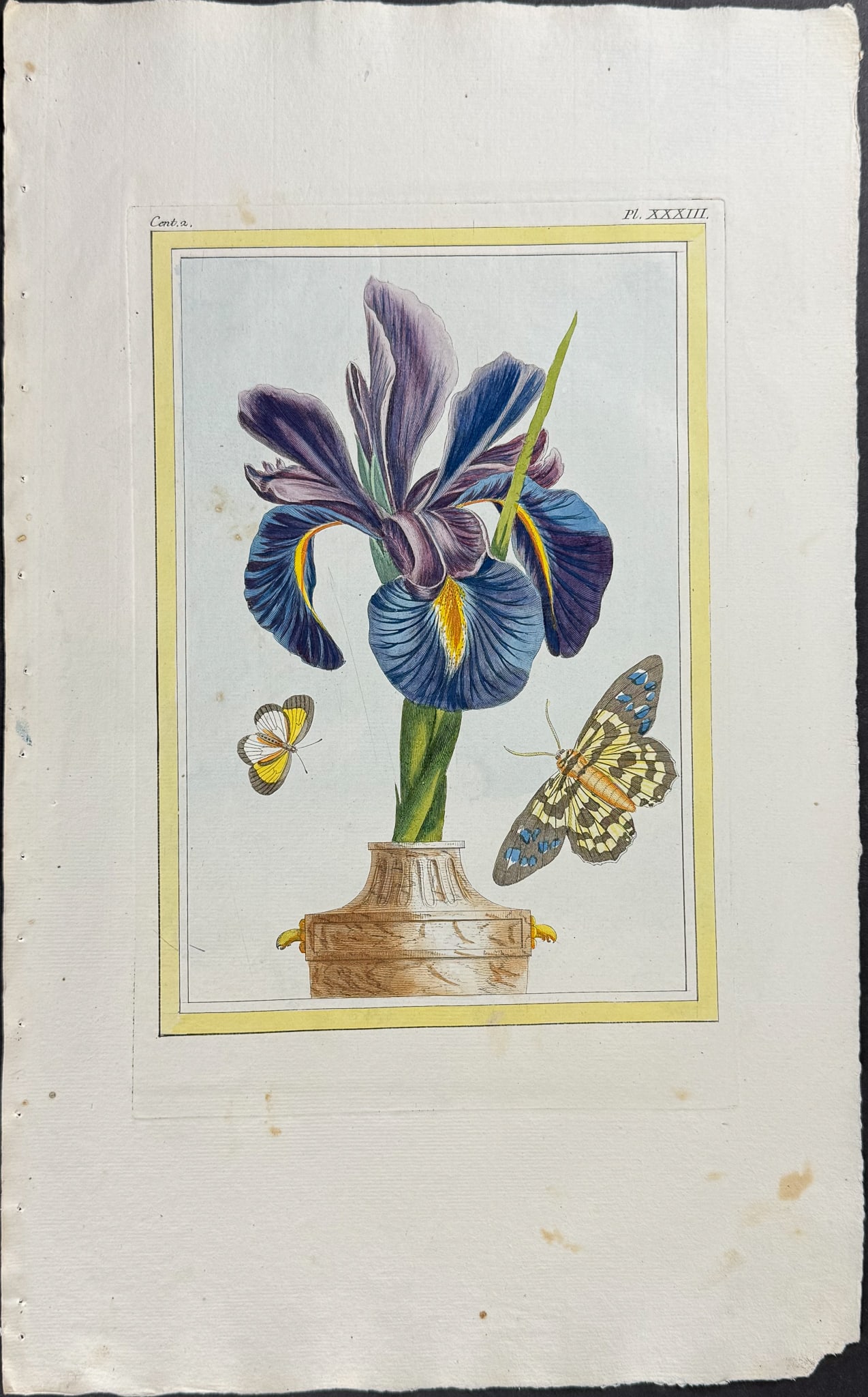 Buchoz - Iris, Moth, & Butterfly: This beautiful, originally hand-colored engraving is from Pierre Joseph Buchoz's Collection Pr?cieuse et Enlumin?e des fleurs les plus Belles et les plus Curieuses, qui se cultivent tant dans les