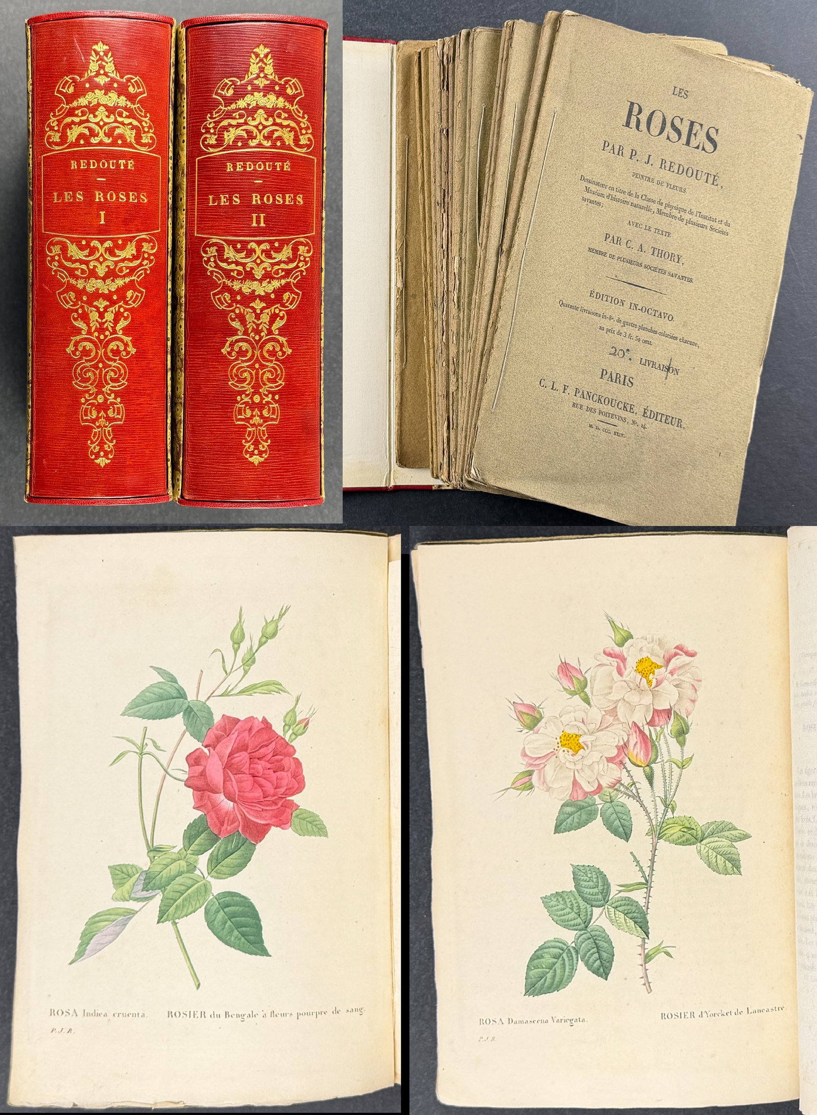 Redoute's Les Roses - Complete Work with 160 Stipple Engravings: This complete work was issued with 160 stipple engravings is Pierre Joseph Redoute's Les Roses. The work was published in Paris between 1824 and 1826 by Claude Antoine Thory. This is the second