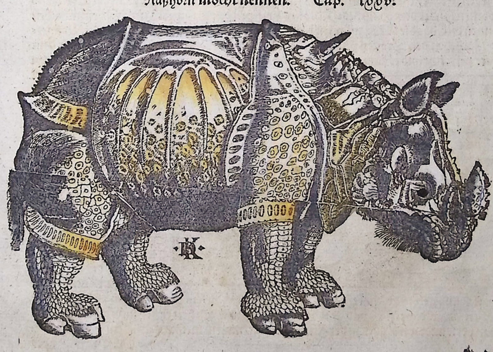 Munster, pub. 1598 - Rhinoceros after Albrecht Durer (1 of 2)