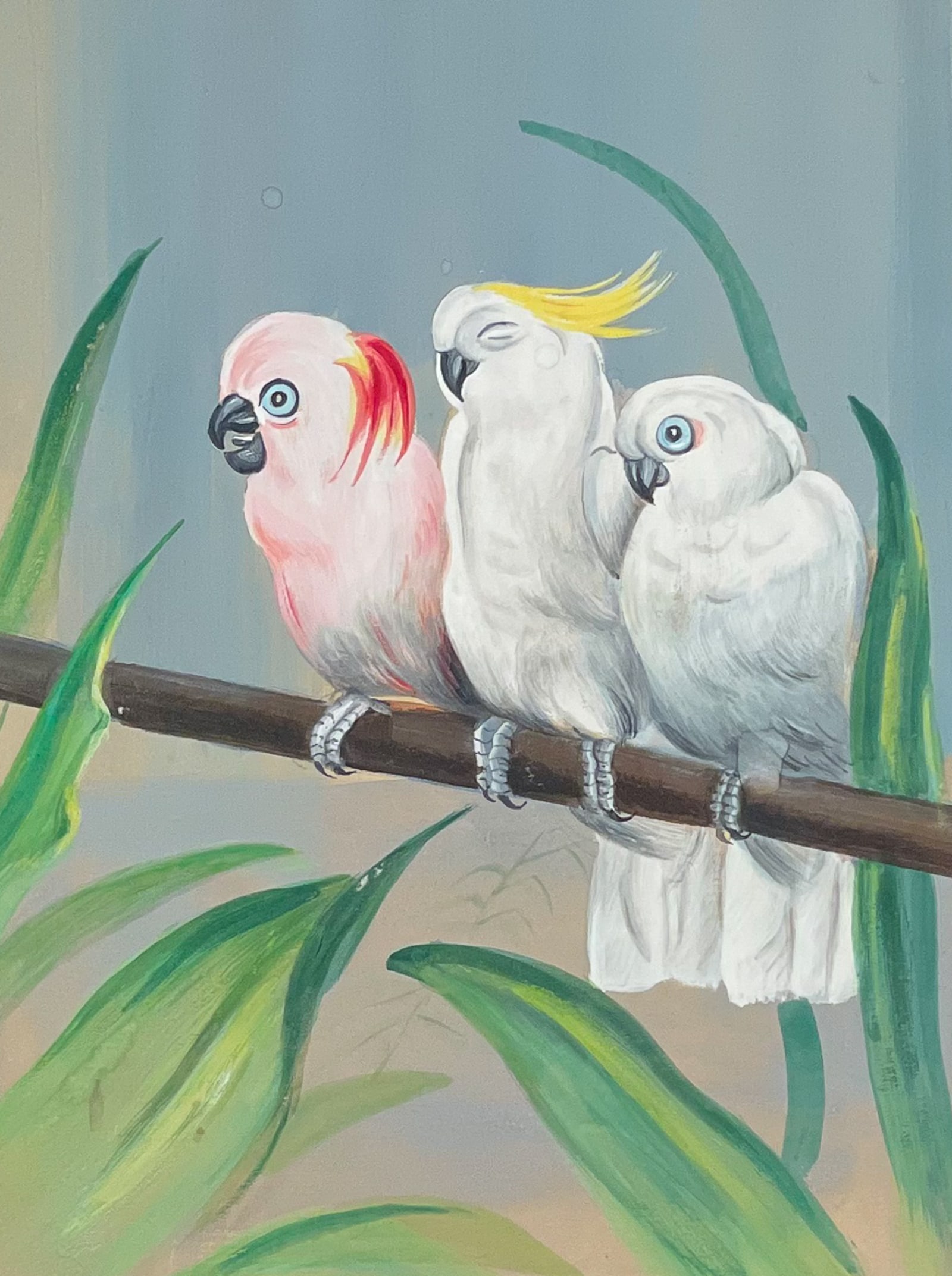 Johnson, Original Watercolor - Cockatoos: This scarce and splendid gouache watercolor illustration is from Theophilus Johnson's Illustrations of Typical Birds. Each gouache watercolor illustration is heightened with gum arabic and mounted to 