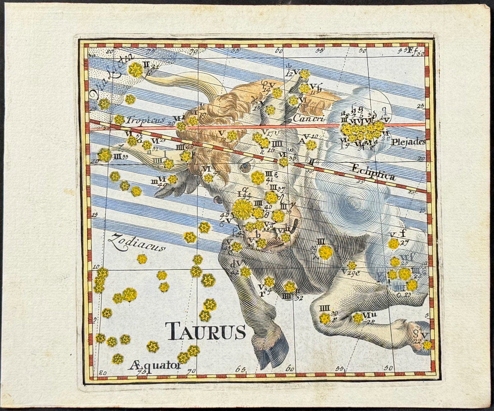 Thomas - Constellation or Celestial Chart of Taurus (Bull): This celestial engraving is from Corbinian Thomas's Mercurii philosophici firmamentum Firmianum descriptionem et usum globi artificialis coelestis. The work was published in Augsburg in 1731 by Merz u
