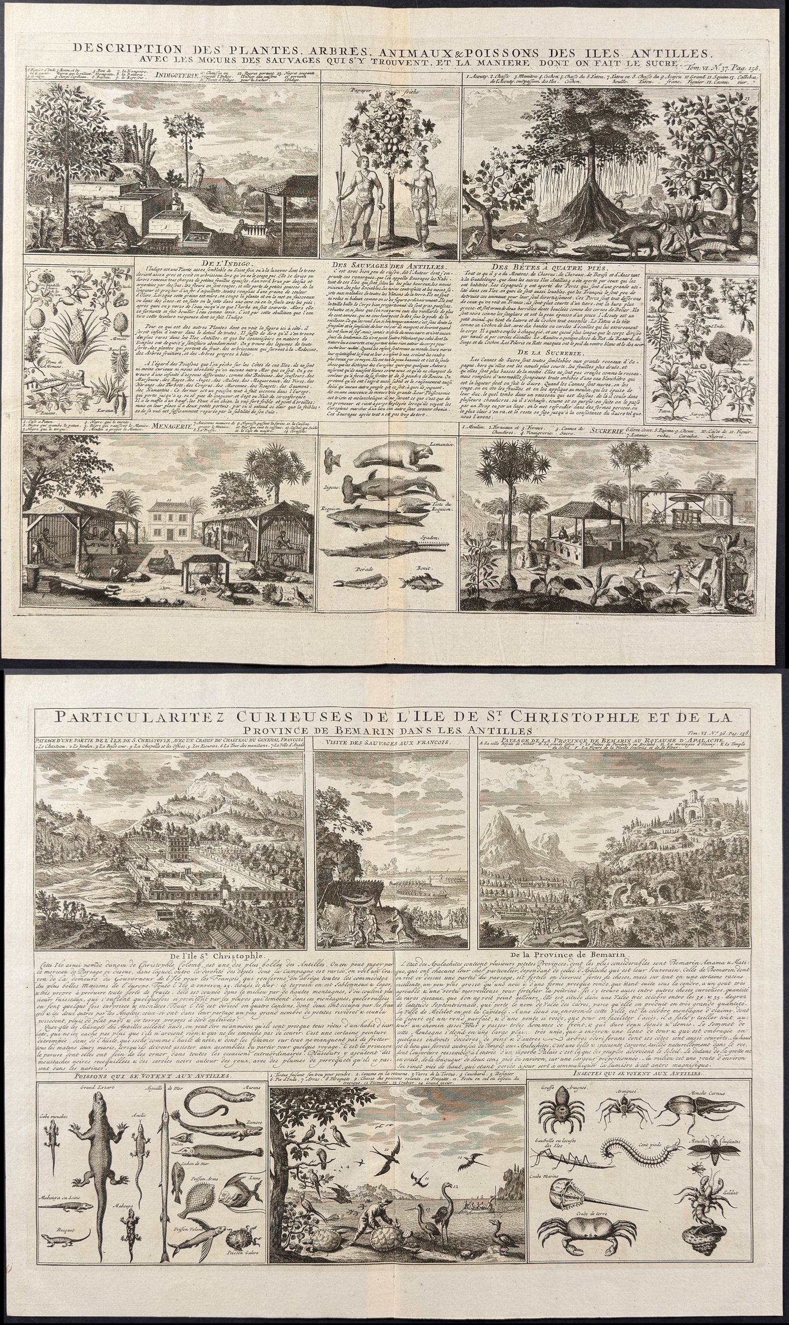 Chatelain - 3 Engravings on the West Indies or Antilles Islands: This historic engraving is from Henri Abraham Chatelain's Atlas Historique. The work was published by the author in Amsterdam between 1718 and 1720. The text was compiled by Gueudeville & Garillon. Th