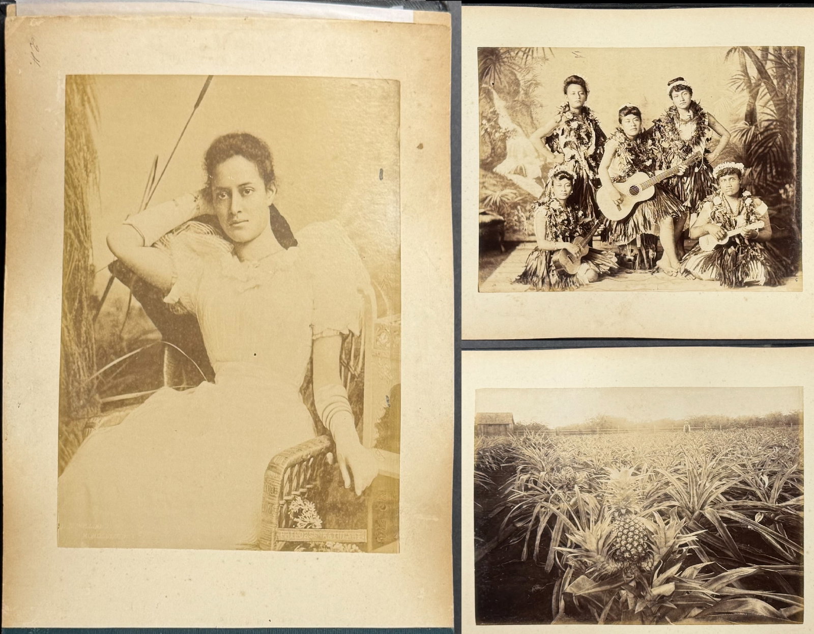 Photo Album of Hawaii with 24 Albumen Photographs by James J. Williams, c. 1890s: This fascinating album with 24 albumen photographs was from a collection of photos of Hawaii created by James J. Williams. Williams took the photographs circa 1890s. The album is bound in black 1/2 le