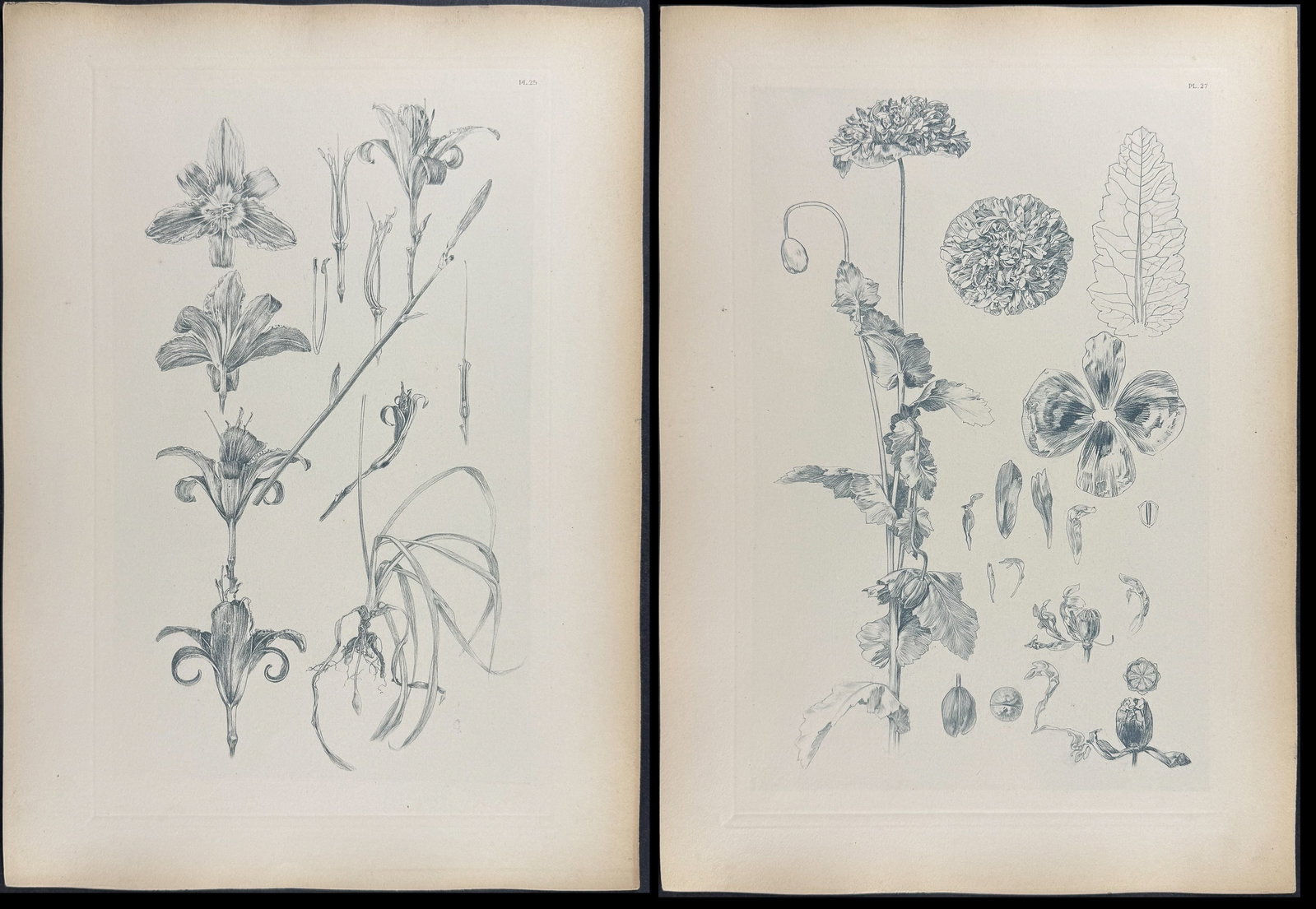 Mucha, Folio - 5 Floral Design or Motif Lithographs: This stunning and rare lithograph is from Alphonse Mucha's "Documents d?coratifs" which was edited by Gabriel Mourey. The work was published in Paris by Librairie centrale des Beaux-Arts in 1902. The