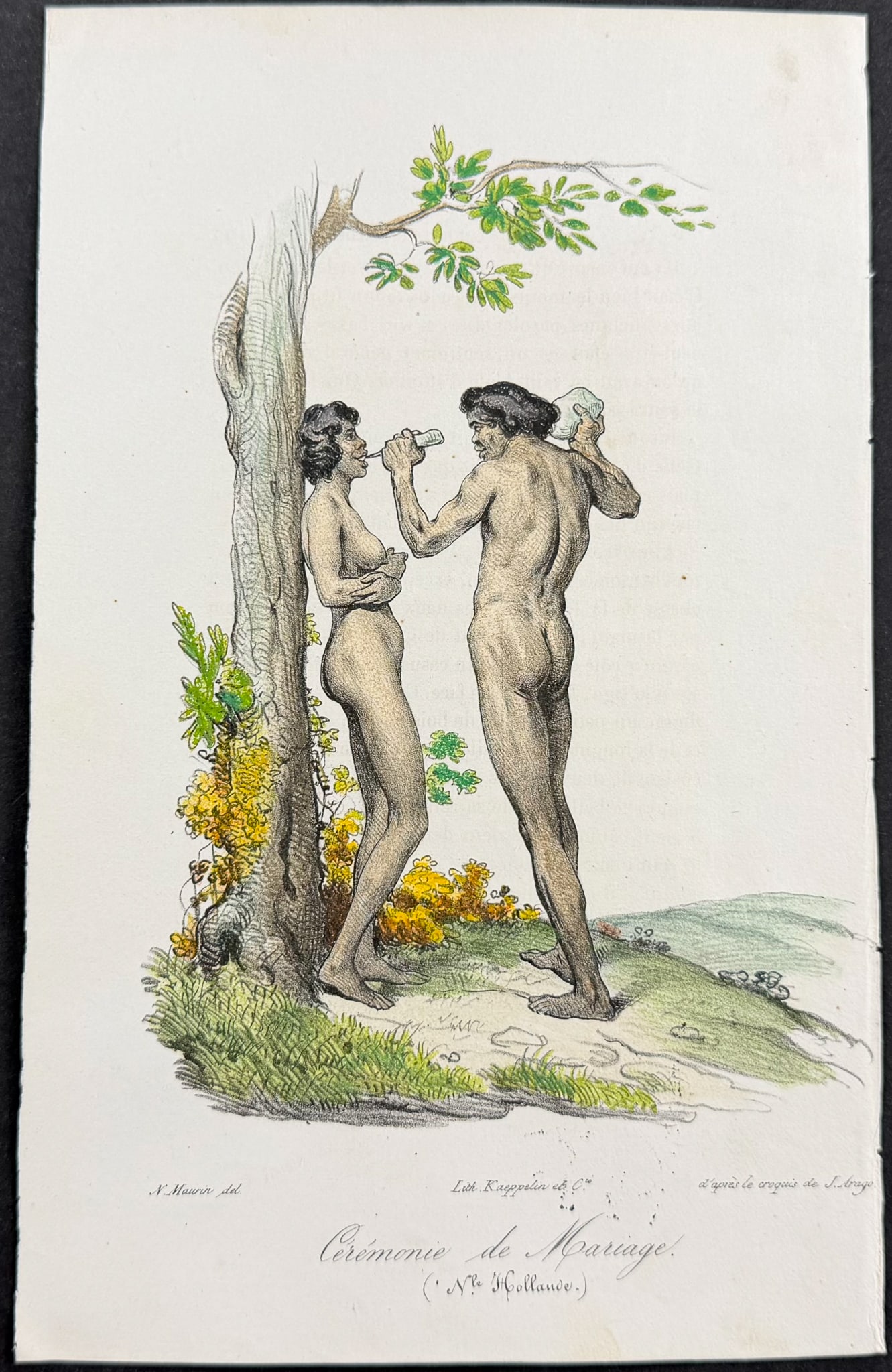 Arago, Australia - Wedding Ceremony, Aborigines [Ceremonie de Marriage (Nouvelle Holland)]: This historic lithograph is from Jacques Arago's Promenade autour du monde, pendant les ann?es 1817, 1818, 1819 et 1820, sur les corvettes du roi l'Uranie et la Physicienne command?es par M. Freycinet