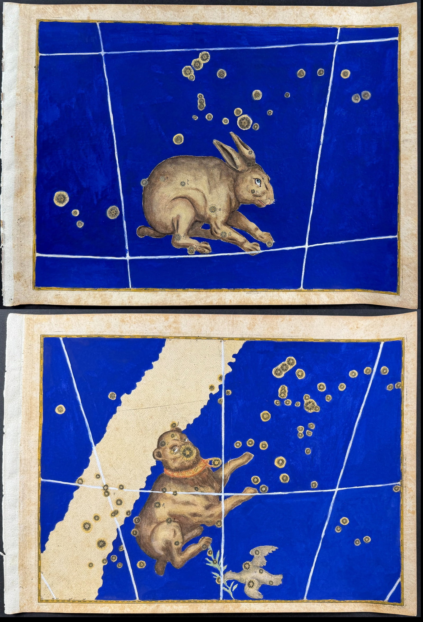 Bayer - Pair of Constellation or Celestial Charts of Lepus (Rabbit) & Canis Major (Big Dog): Perhaps the most influential book in celestial maps, Johann Bayer's "Uranometria" set long-lasting standards in the world of astronomy. Most importantly, this was not just a book of pictures of the sk