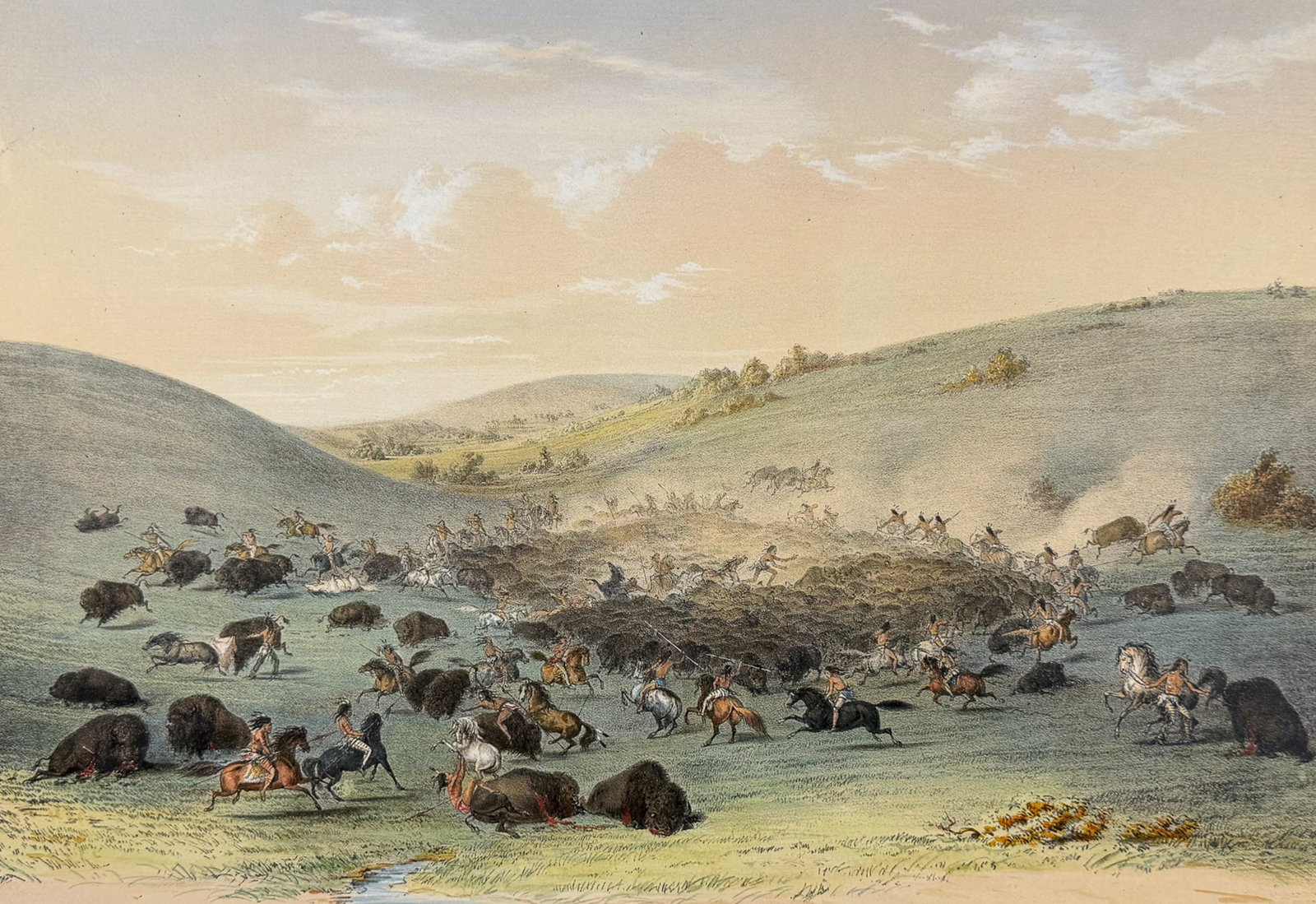 Catlin, Folio, On Card - Buffalo Hunt, Surround (1 of 2)