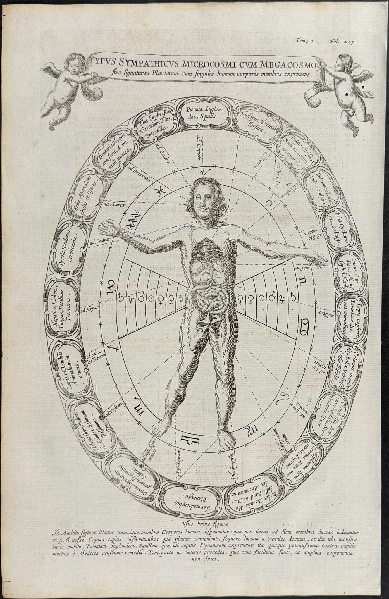 Kircher, pub. 1682 - Diagram of Human Form charting Magnetism and the Cosmos: This scientific engraving is Athanasius Kircher's d'Onder-Aardse Weereld in Haar Goddelijk Maaksel en wonderbare uitwerkselen aller Dingen... It was published in 1682 in Amsterdam by J. Janssonius van